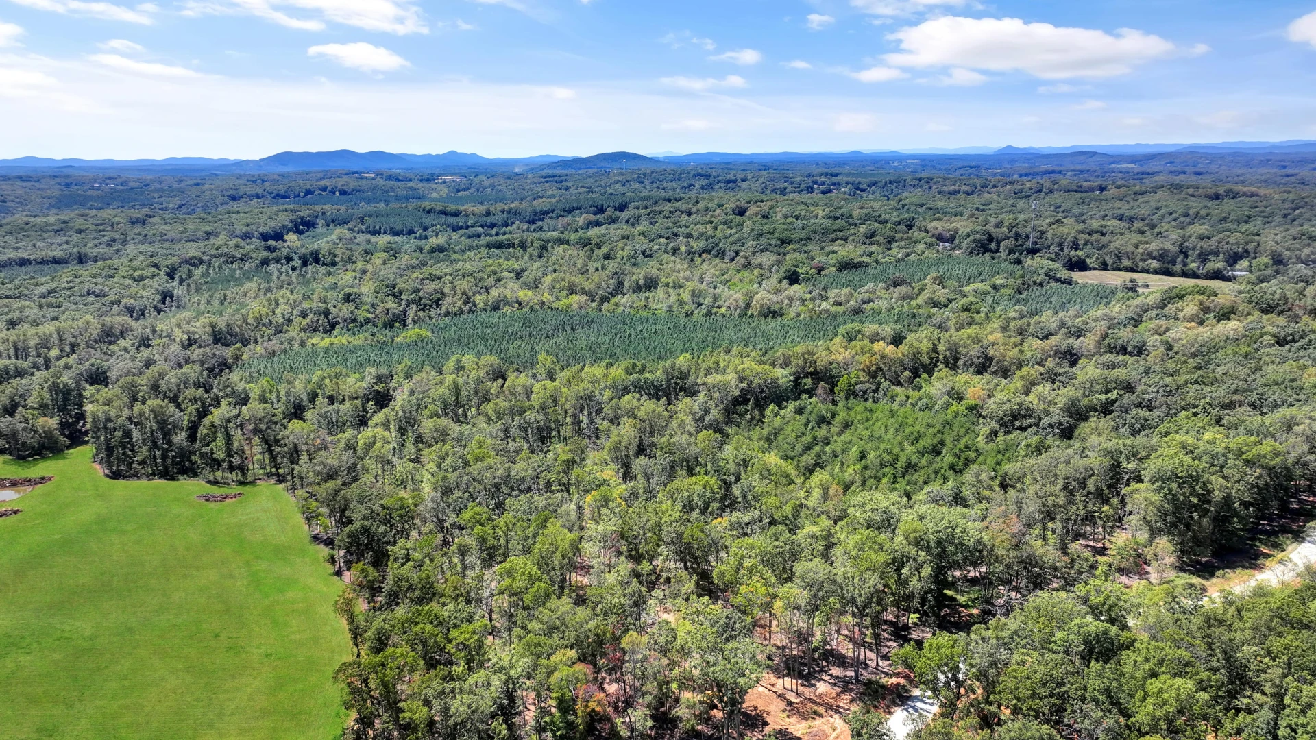 Lot 32 Hidden Treasures LN - Photo 4