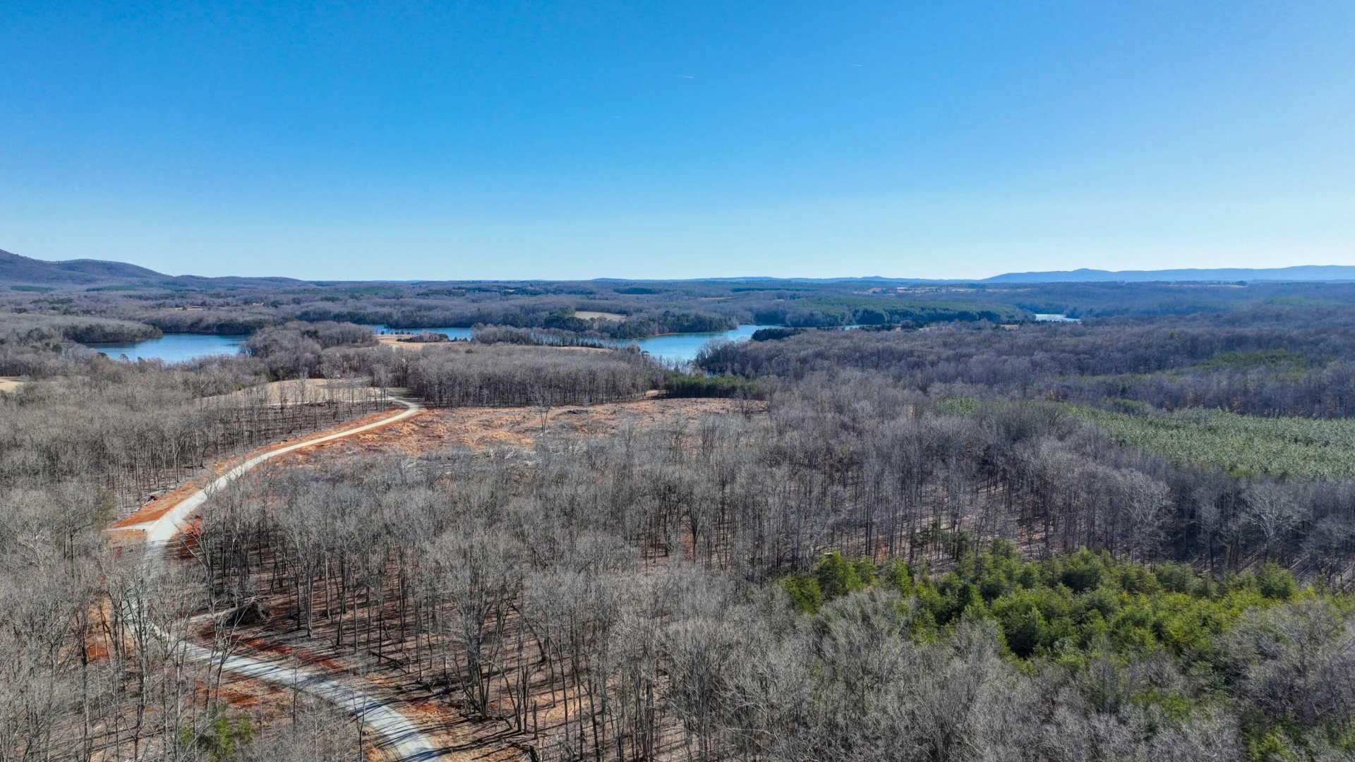 Lot 32 Hidden Treasures LN - Photo 6