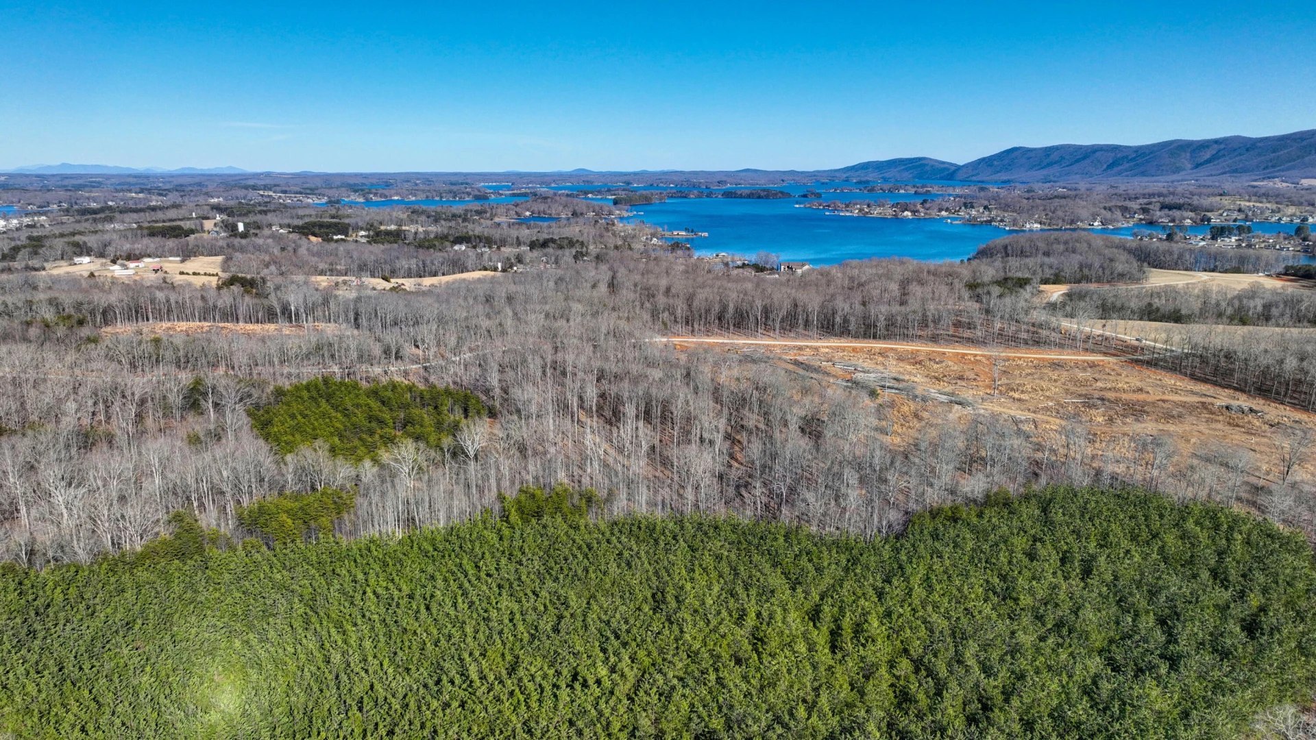 Lot 32 Hidden Treasures LN - Photo 8