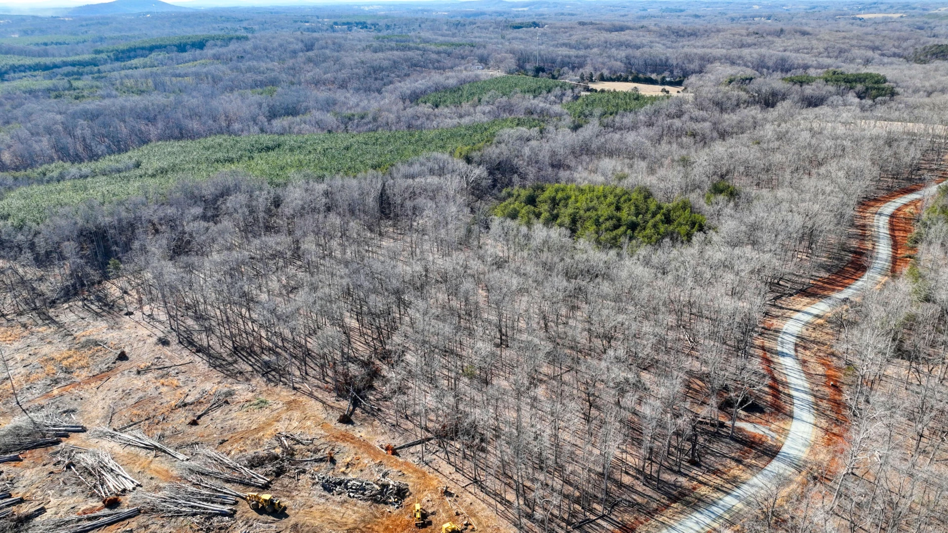 Lot 32 Hidden Treasures LN - Photo 9