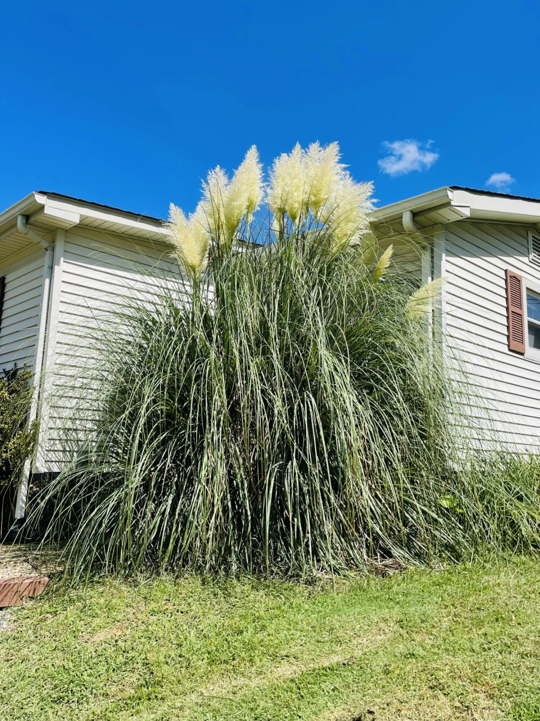 1035 Oyler RD - Photo 30
