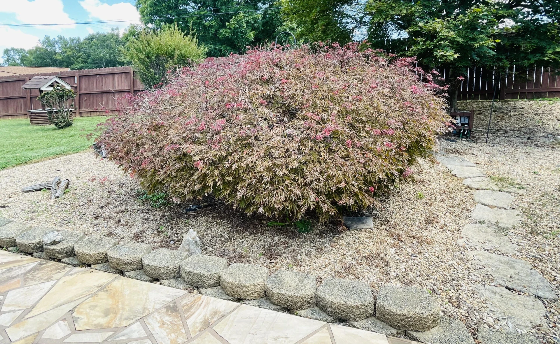 1035 Oyler RD - Photo 33