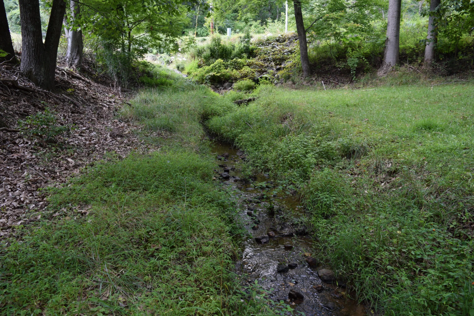 1890 Beaver Creek RD - Photo 16