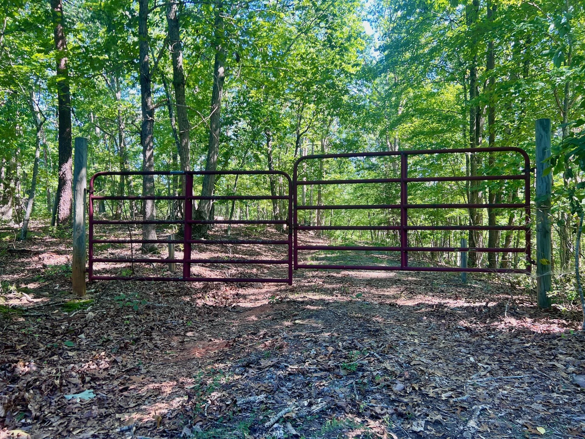 0 Brights  RD - Photo 11