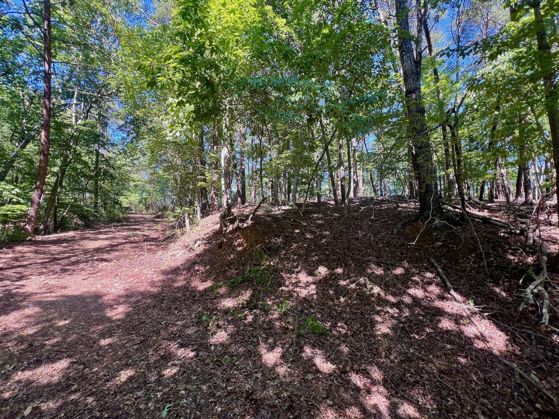 0 Brights  RD - Photo 12