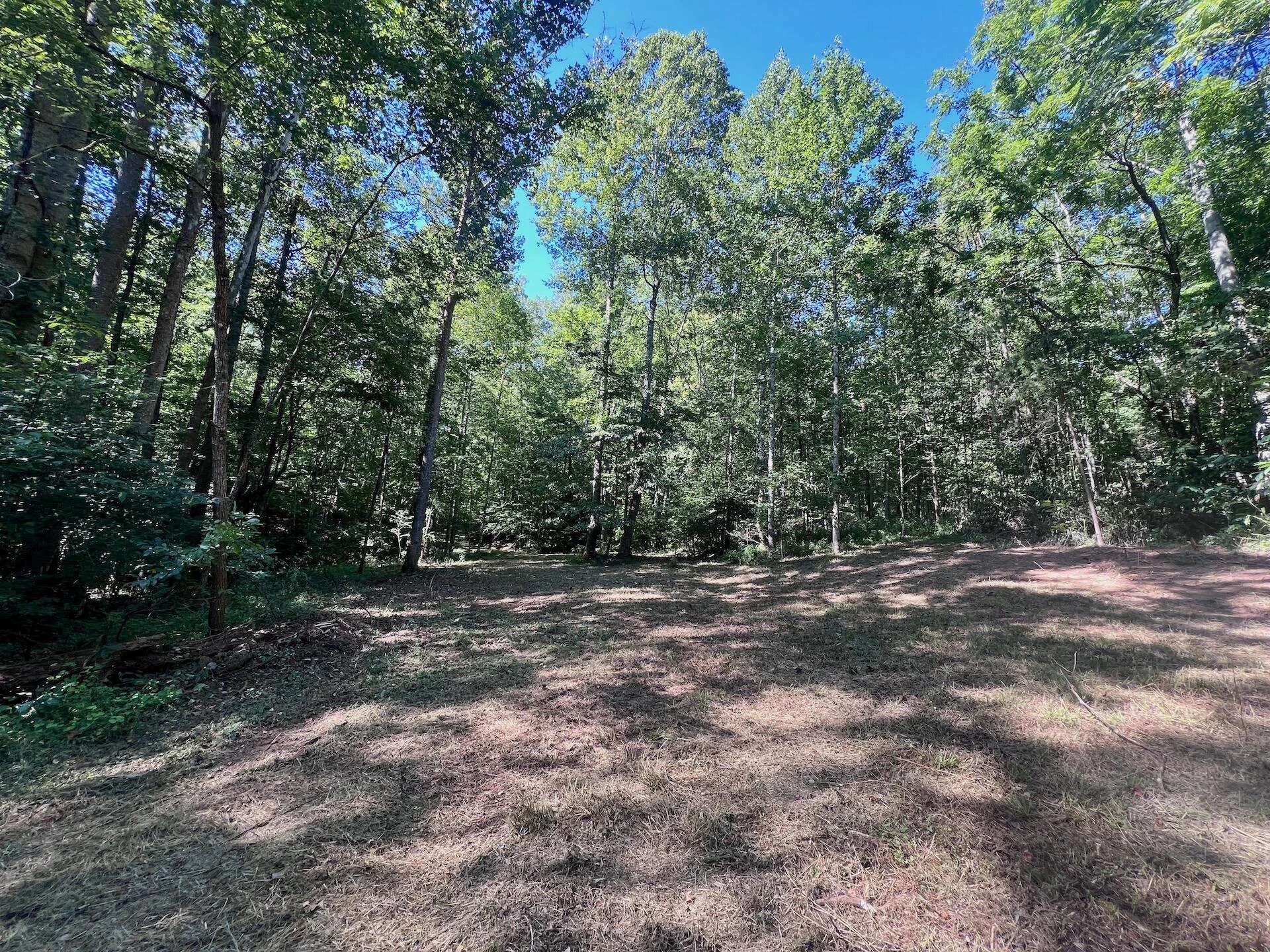0 Brights  RD - Photo 26