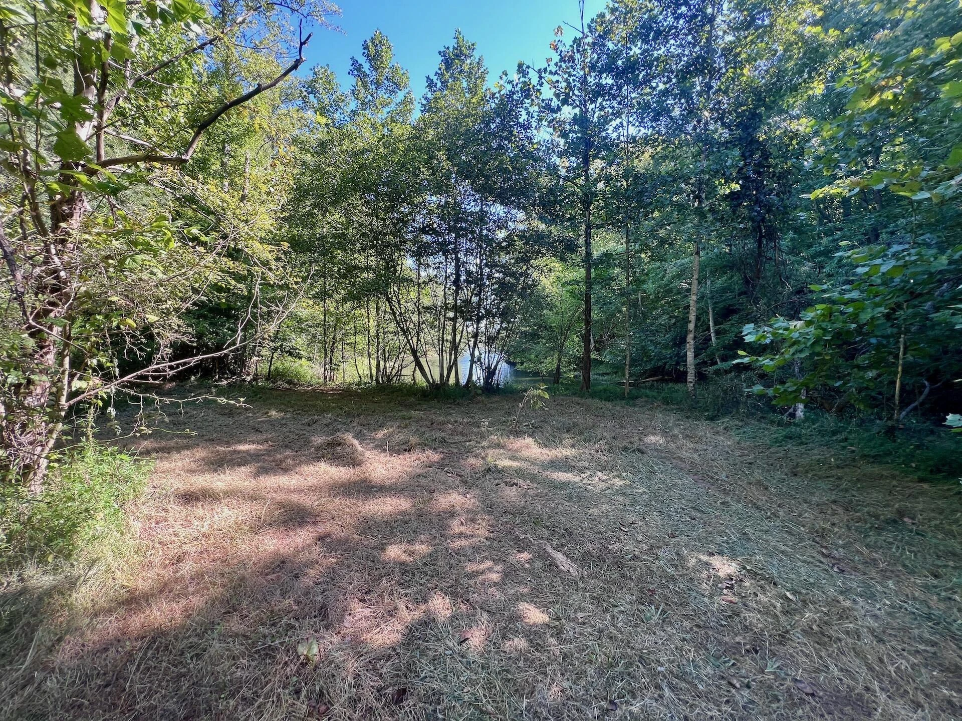 0 Brights  RD - Photo 3