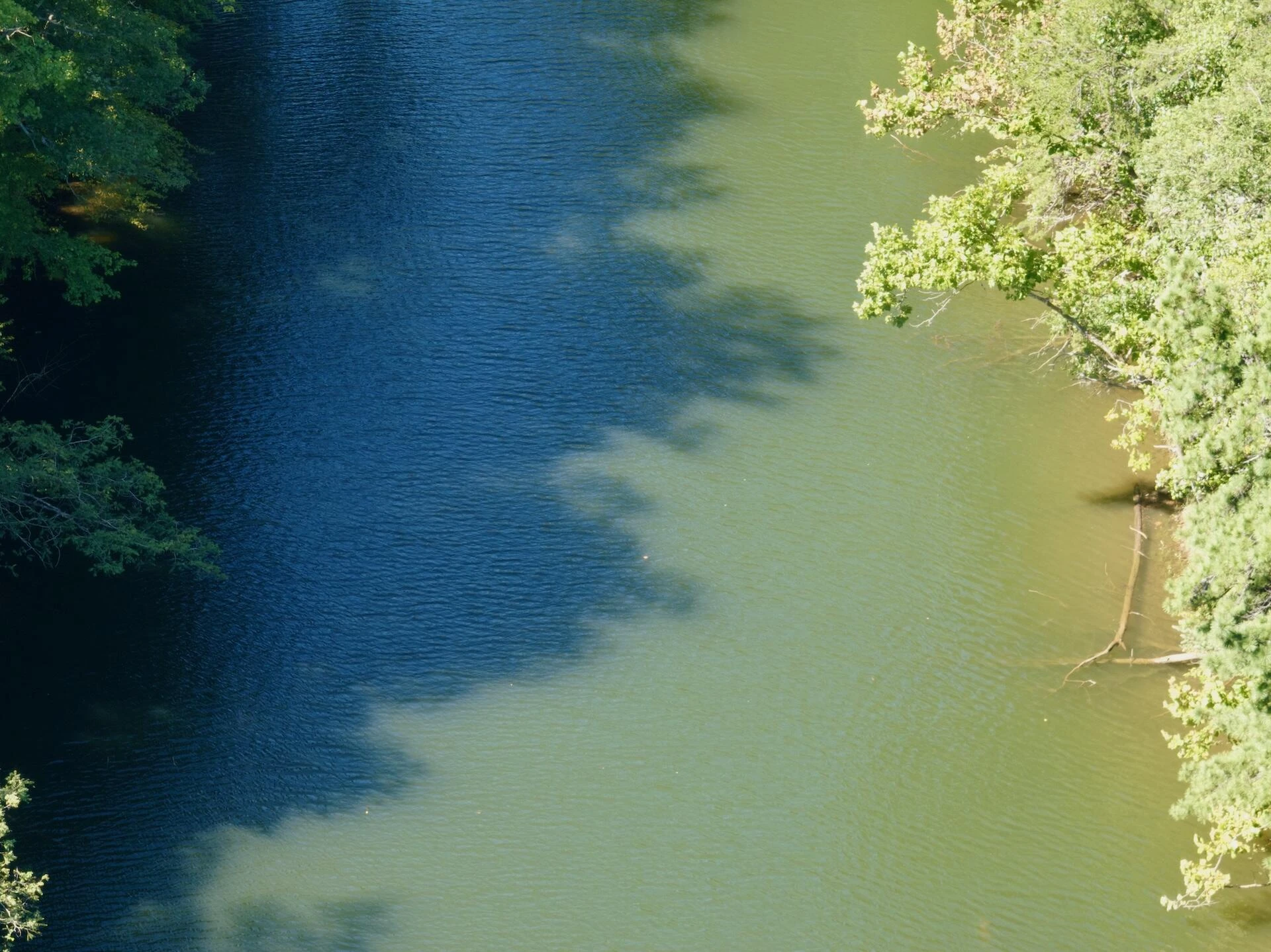 0 Brights  RD - Photo 38