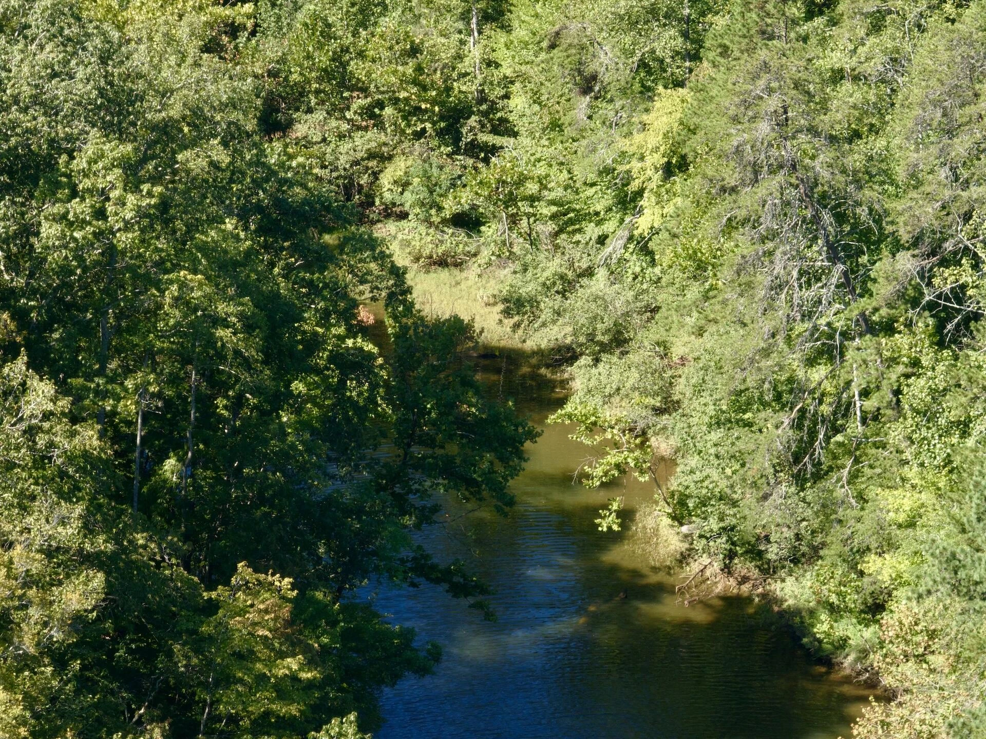 0 Brights  RD - Photo 39
