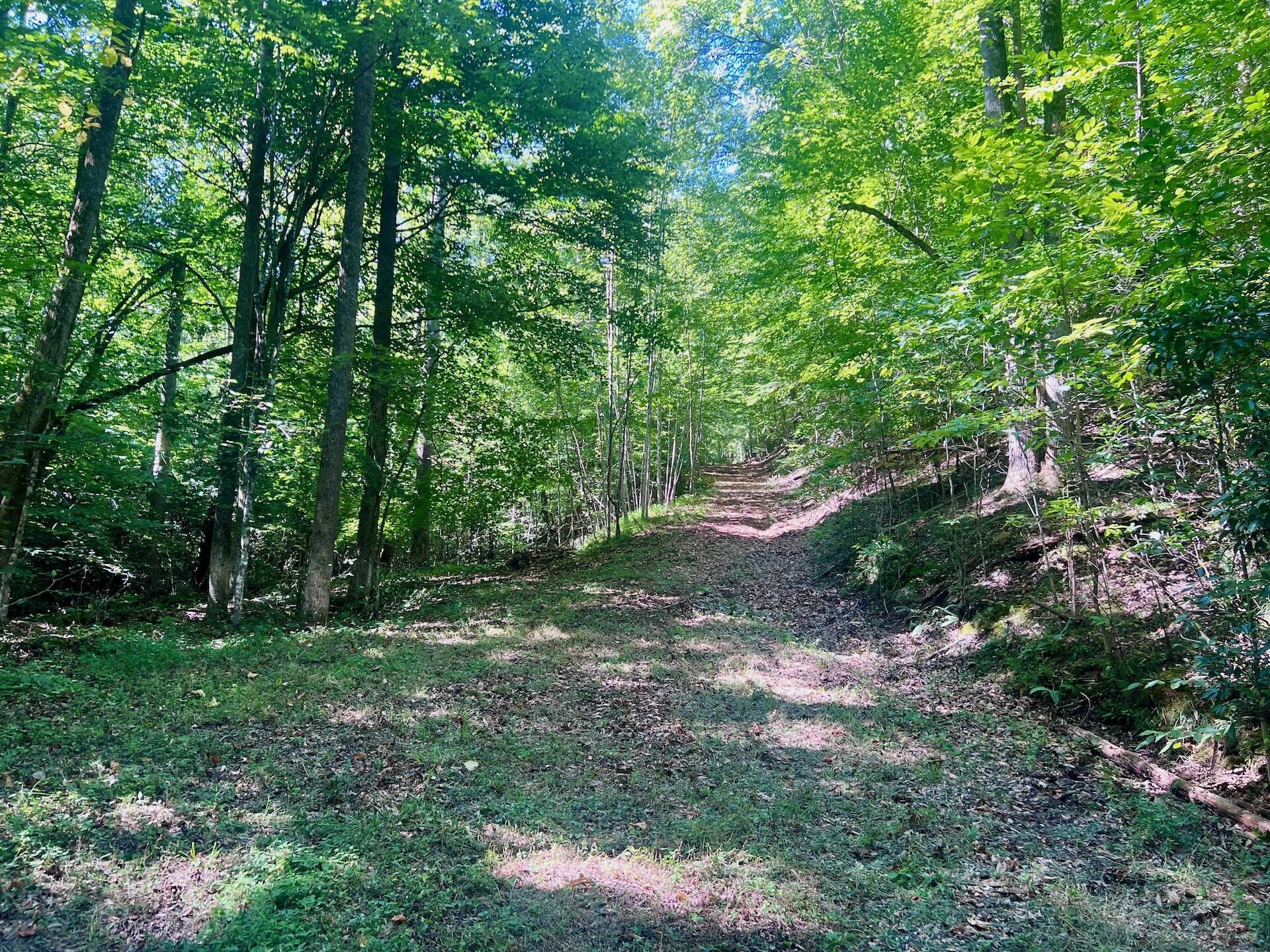 0 Brights  RD - Photo 44