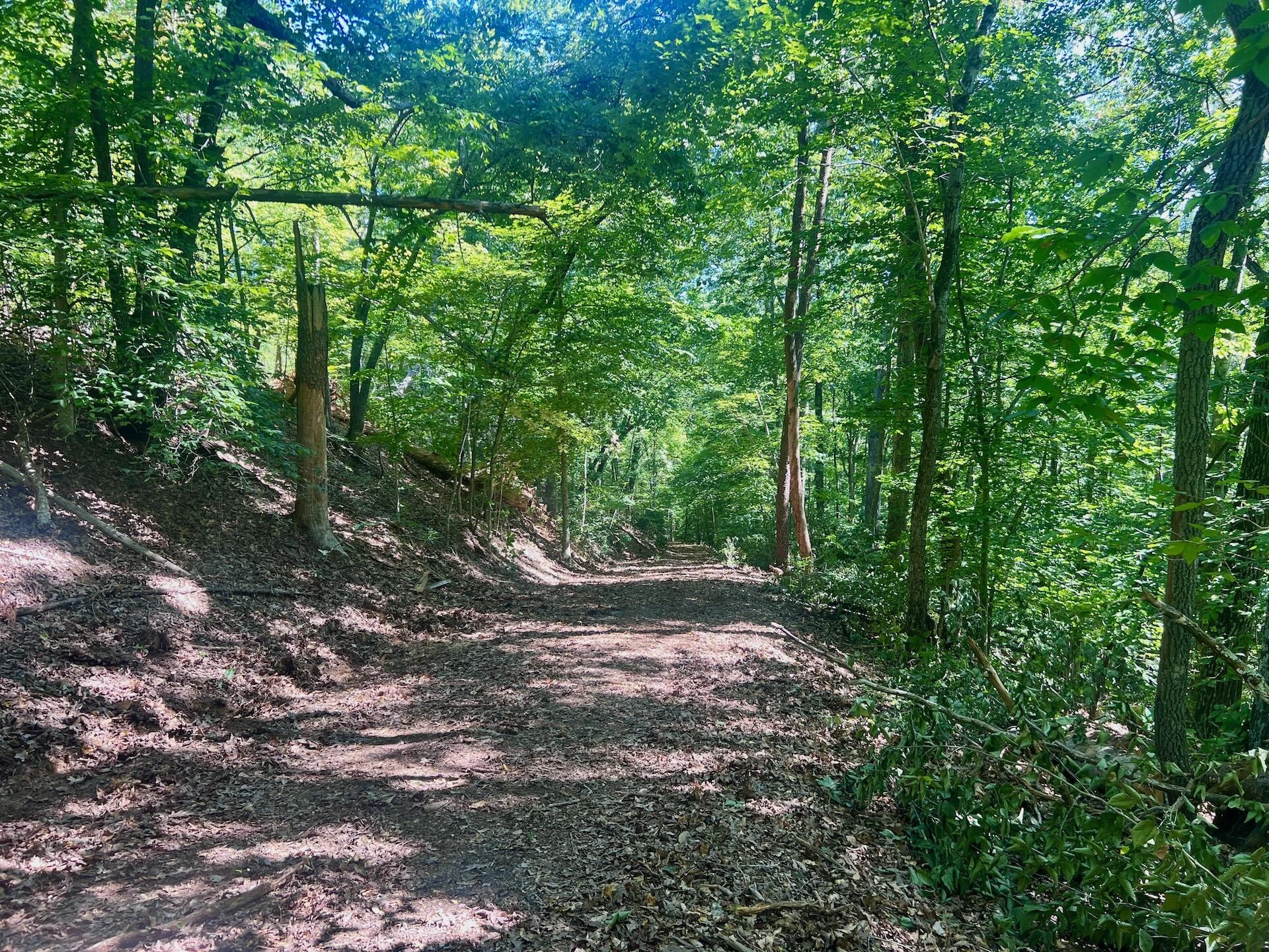 0 Brights  RD - Photo 46