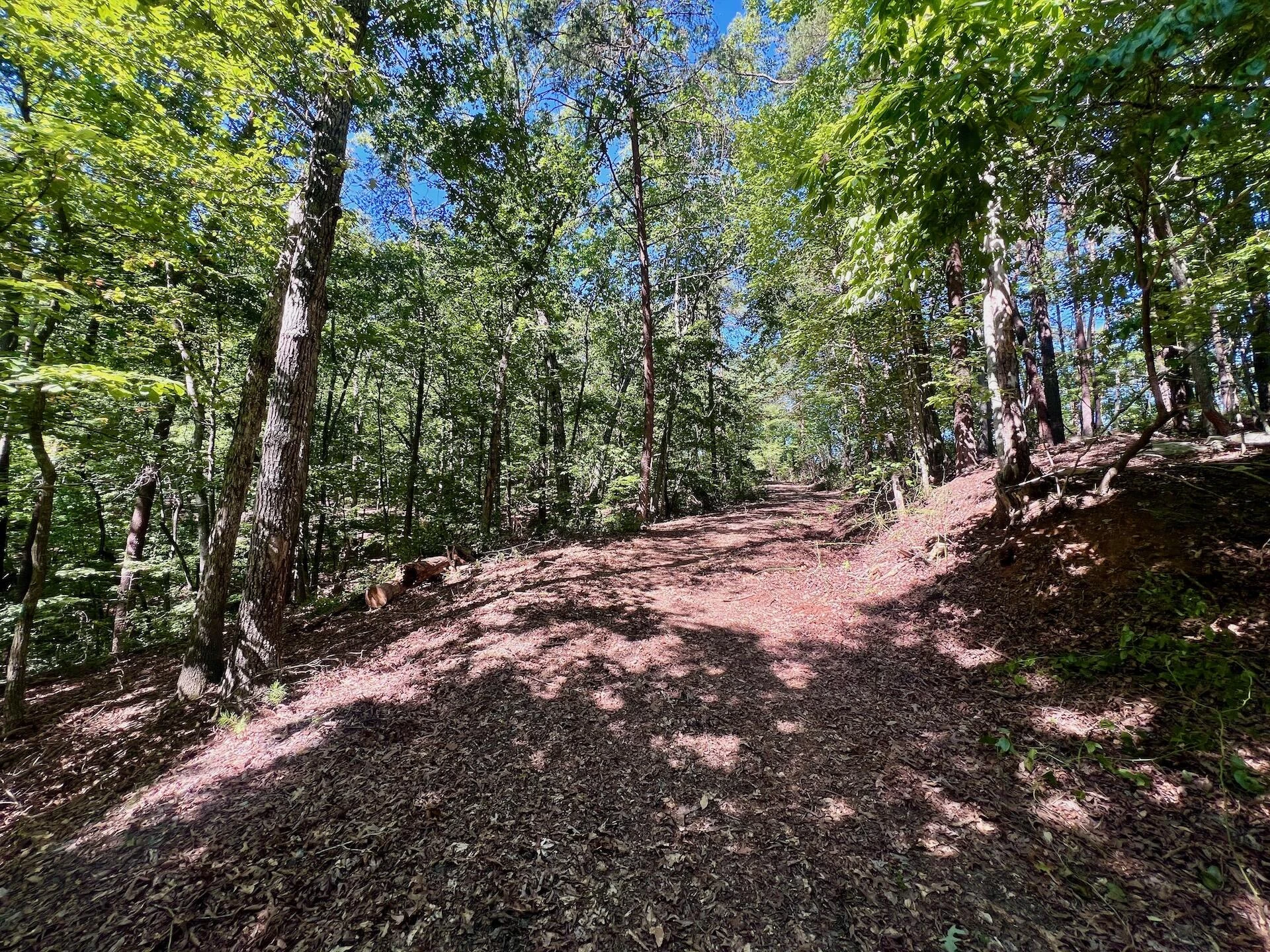 0 Brights  RD - Photo 47