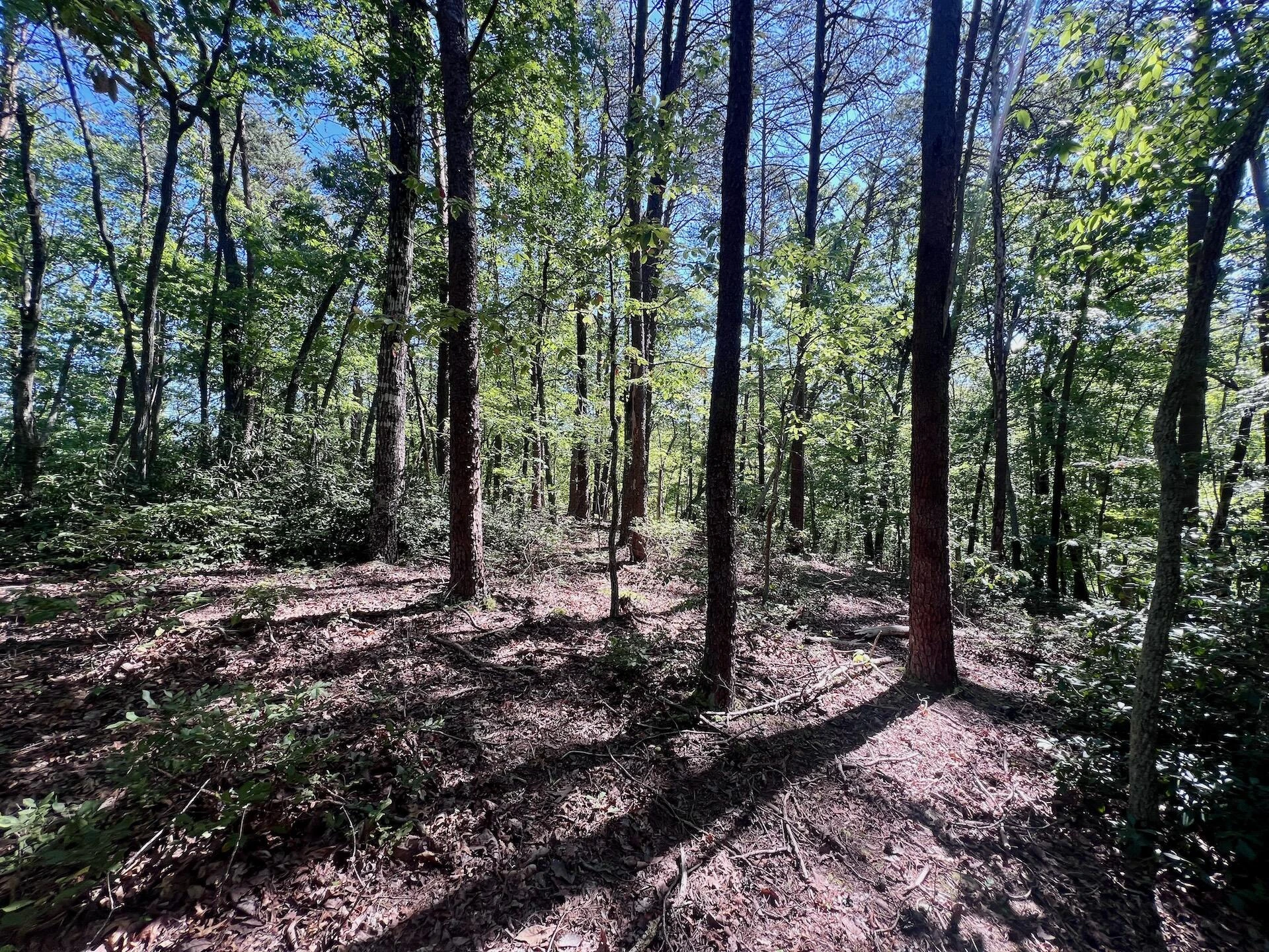 0 Brights  RD - Photo 48