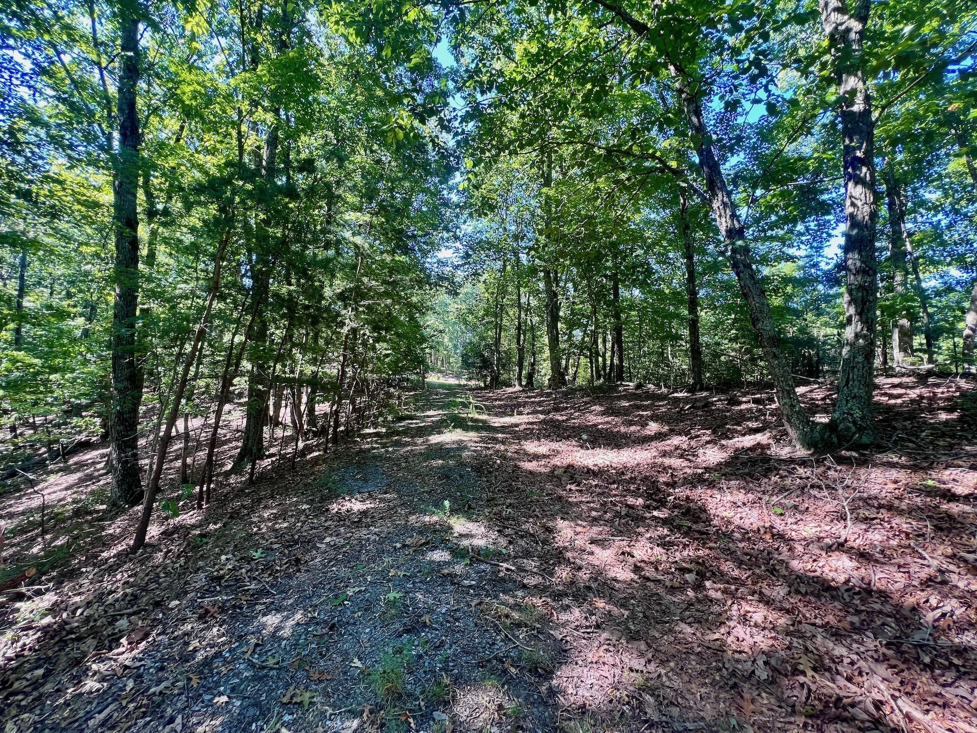 0 Brights  RD - Photo 49