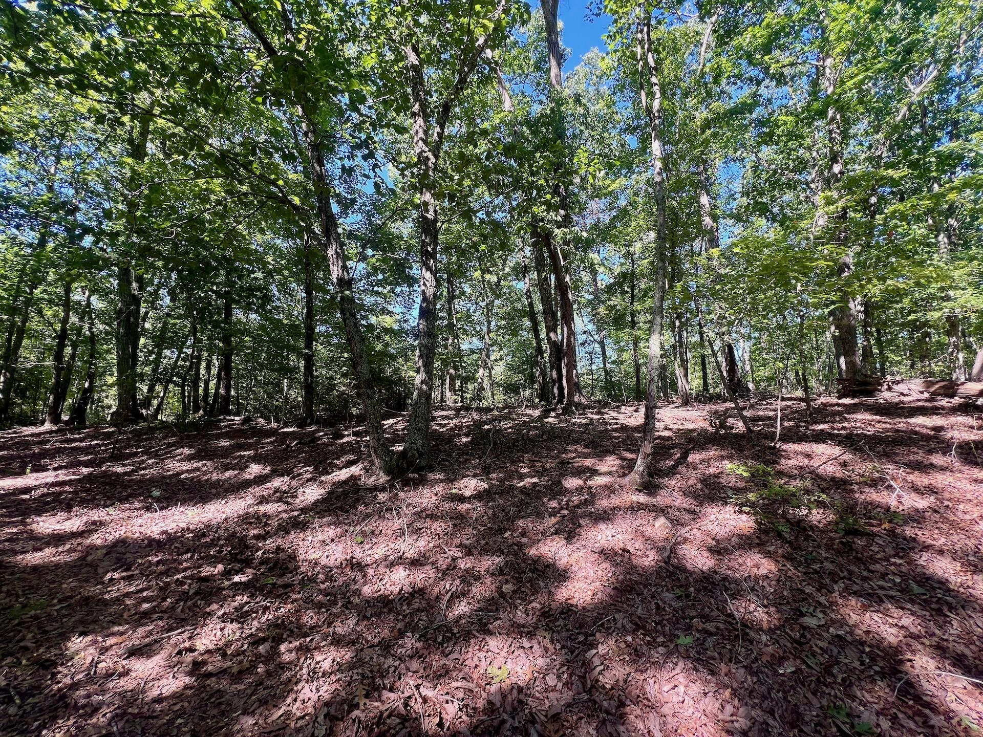 0 Brights  RD - Photo 50