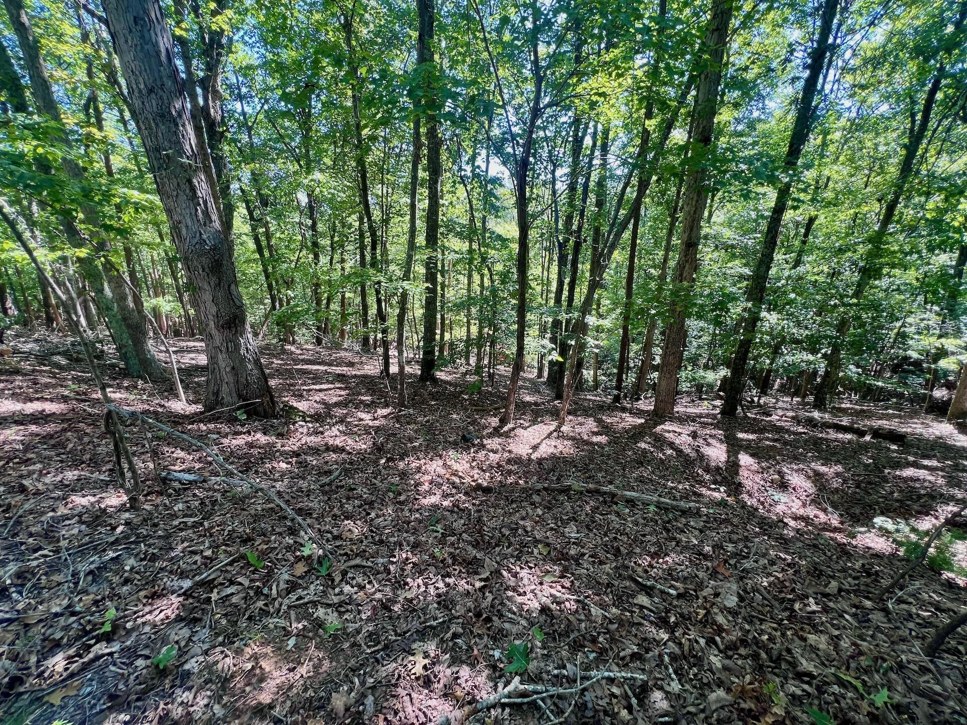 0 Brights  RD - Photo 51