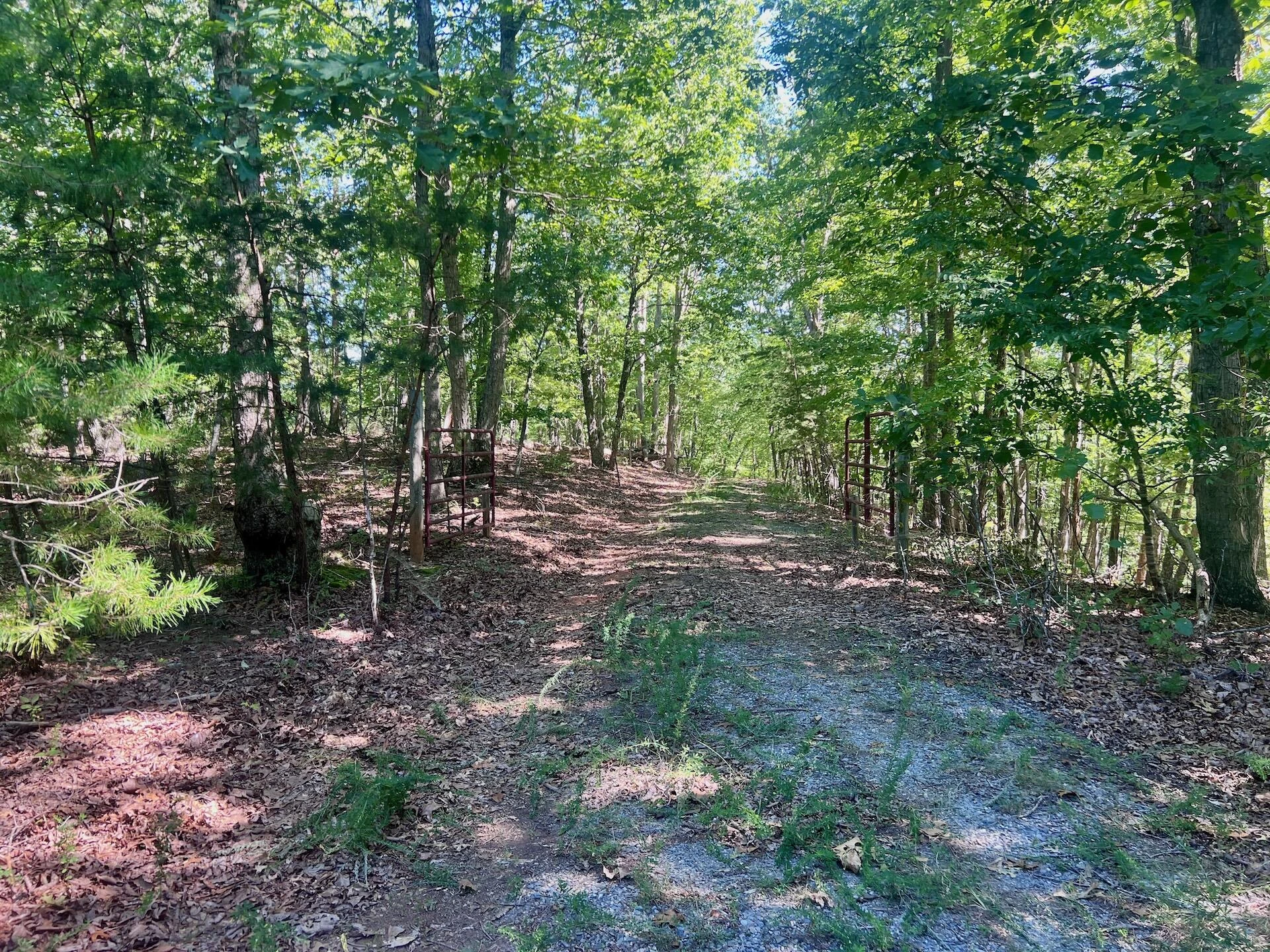 0 Brights  RD - Photo 52
