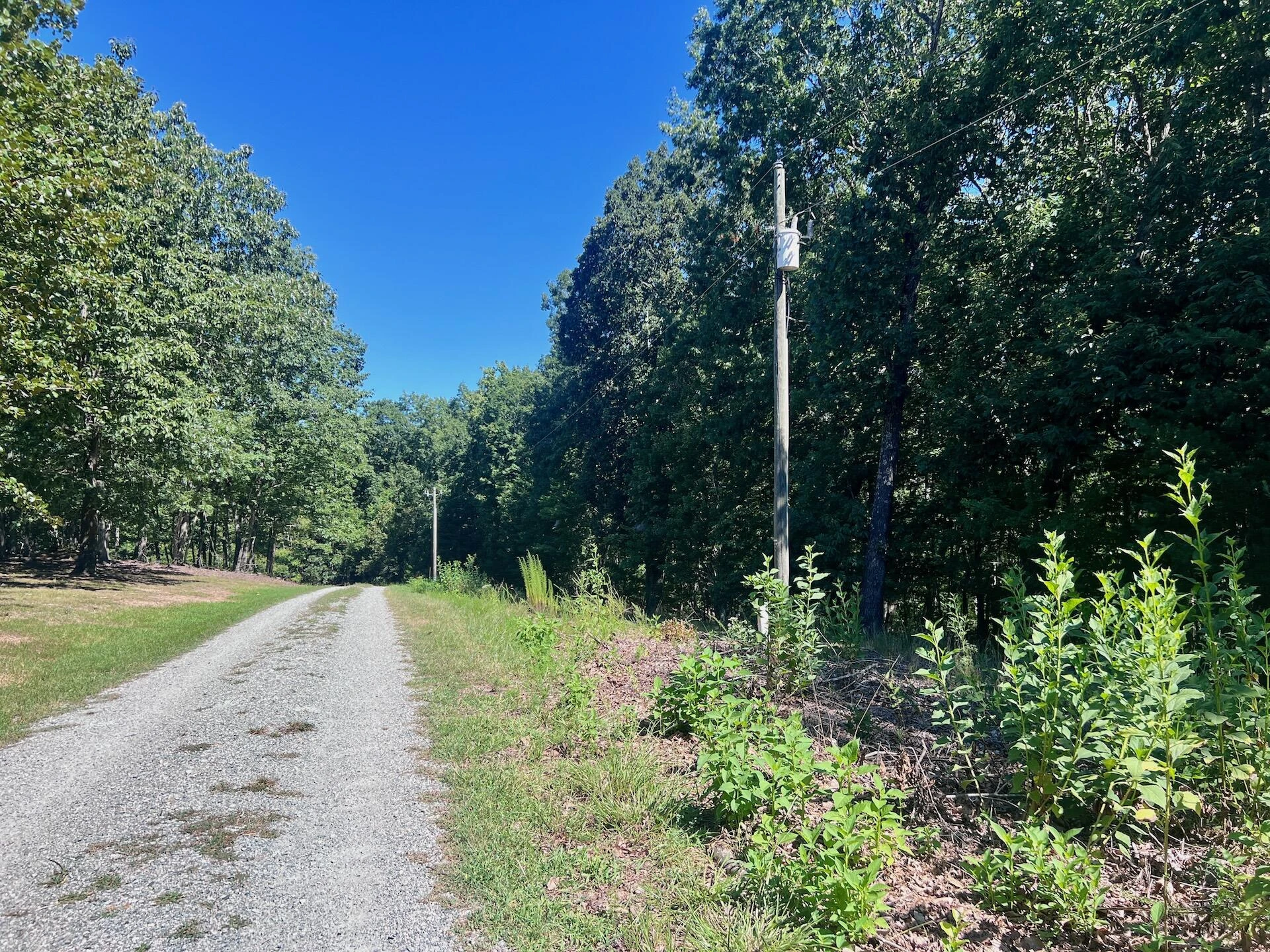 0 Brights  RD - Photo 55