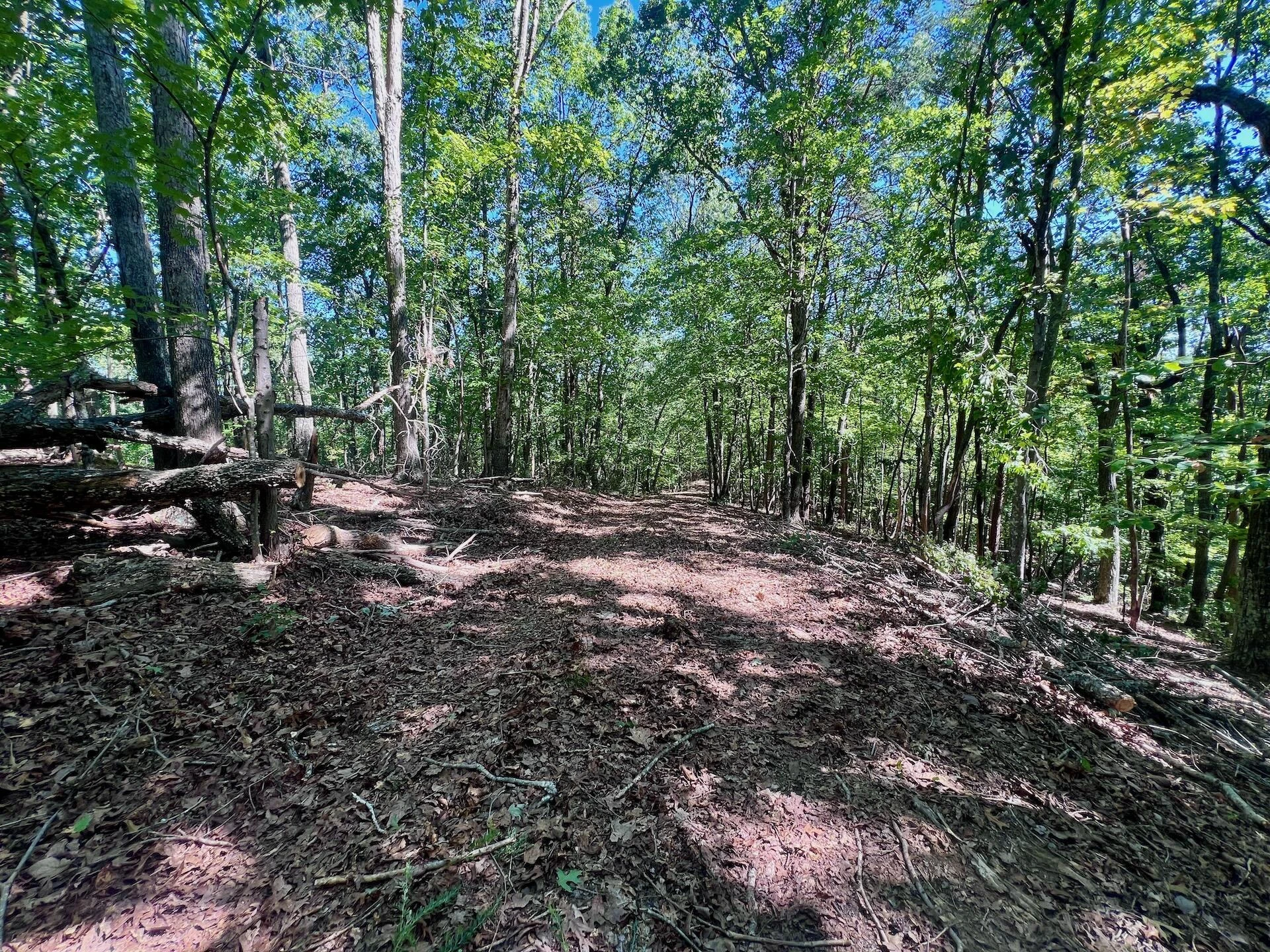 0 Brights  RD - Photo 8