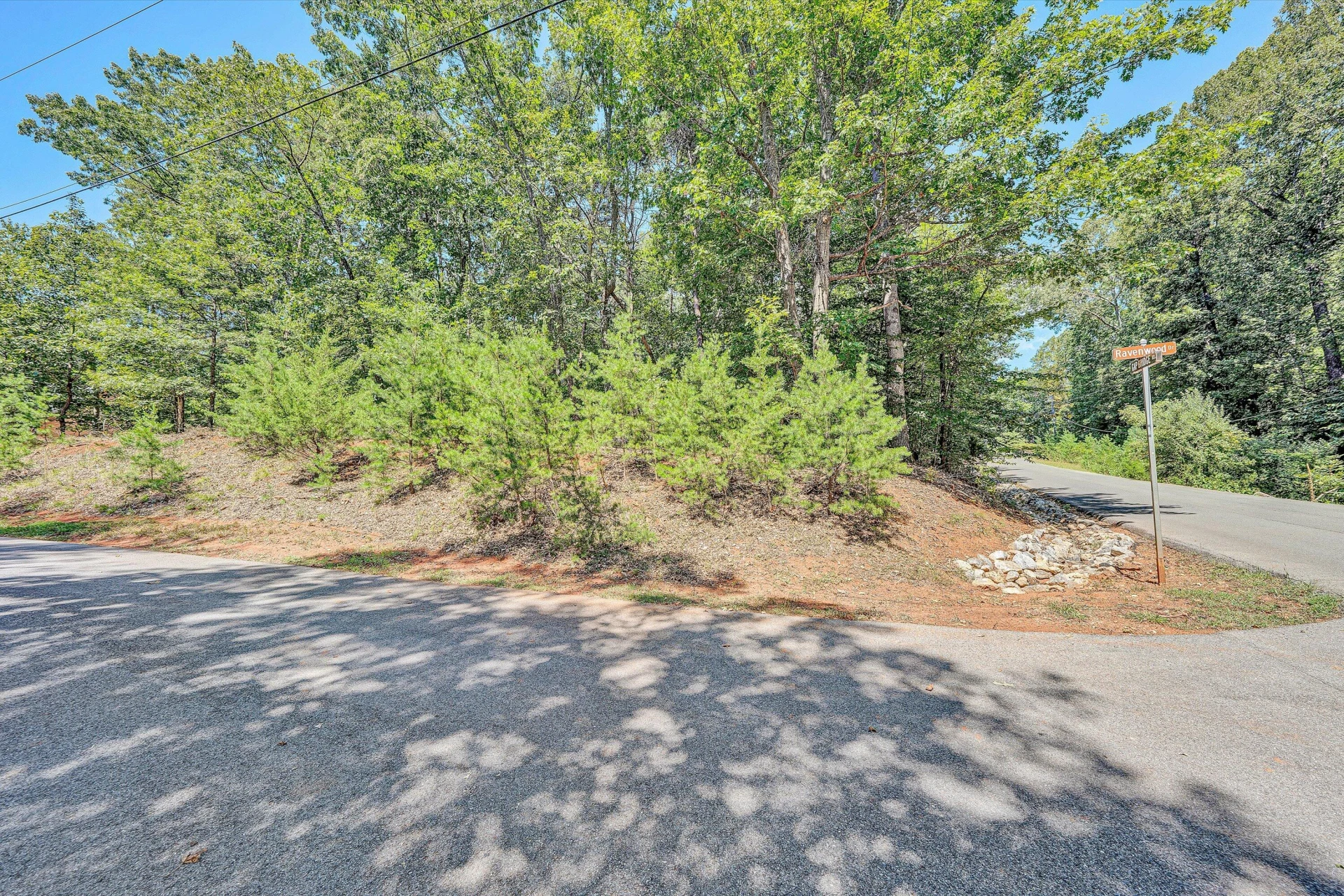 Lot 10 Ravenwood DR - Photo 4