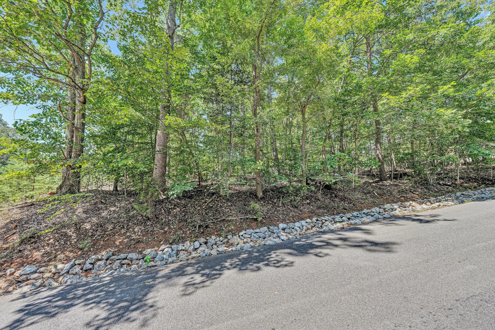 Lot 10 Ravenwood DR - Photo 6