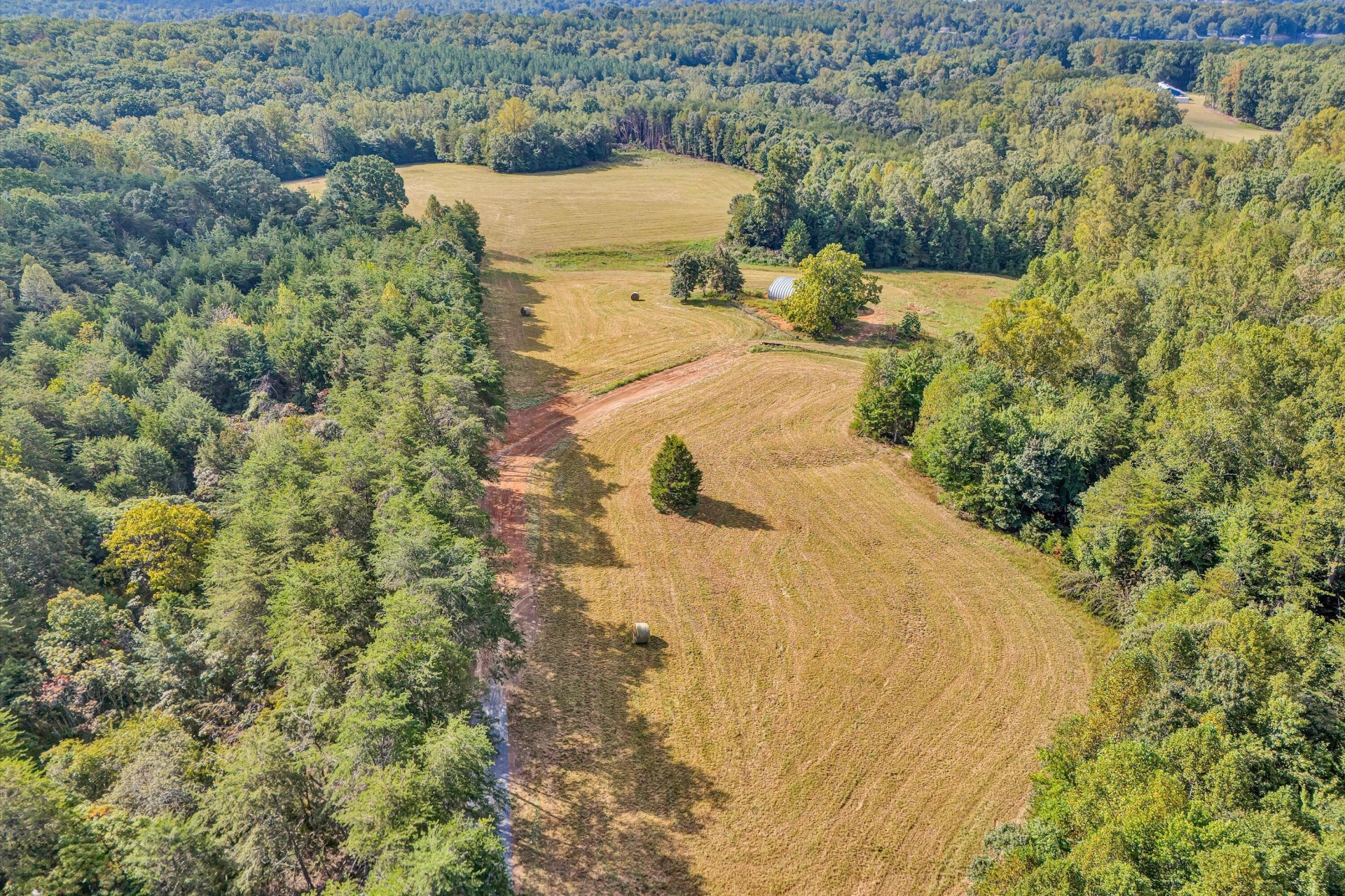 Tract 3 Pine Ridge RD - Photo 5
