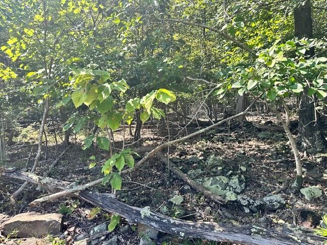 Lot 23 Summit DR - Photo 3