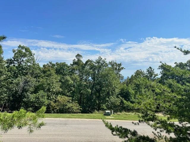 Lot 22 Summit DR - Photo 4