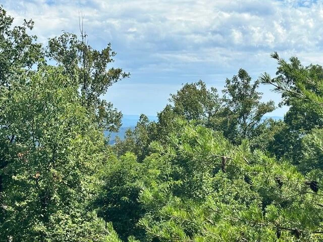 Lot 22 Summit DR - Photo 5