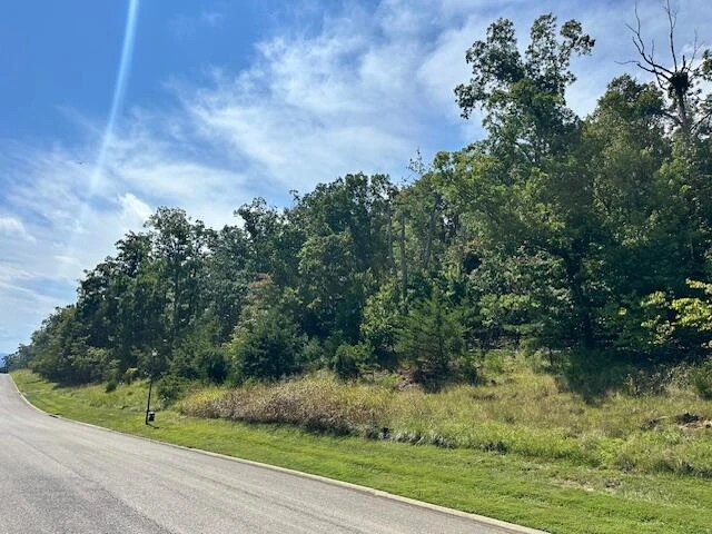 Lot 22 Summit DR - Photo 6