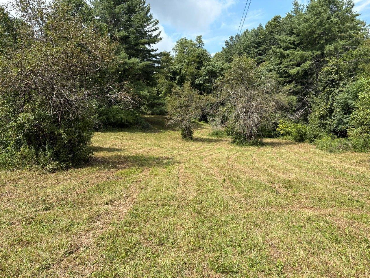 8947 Sugar Run RD - Photo 23