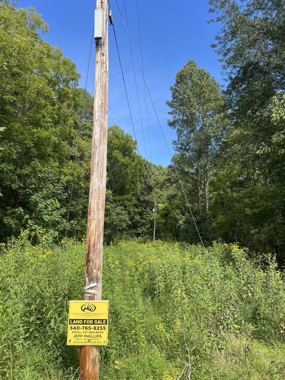 0 Nemmo RD - Photo 15