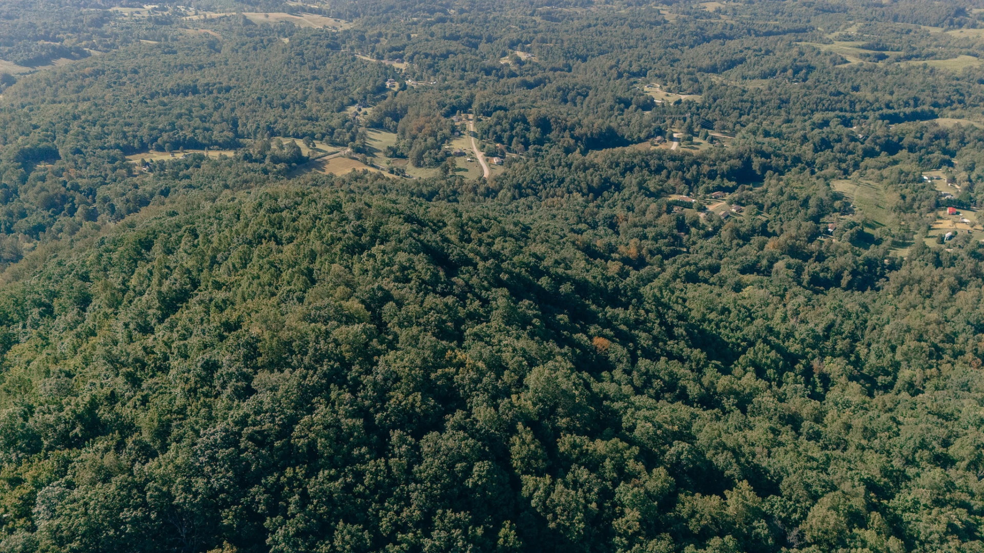0 Nemmo RD - Photo 2