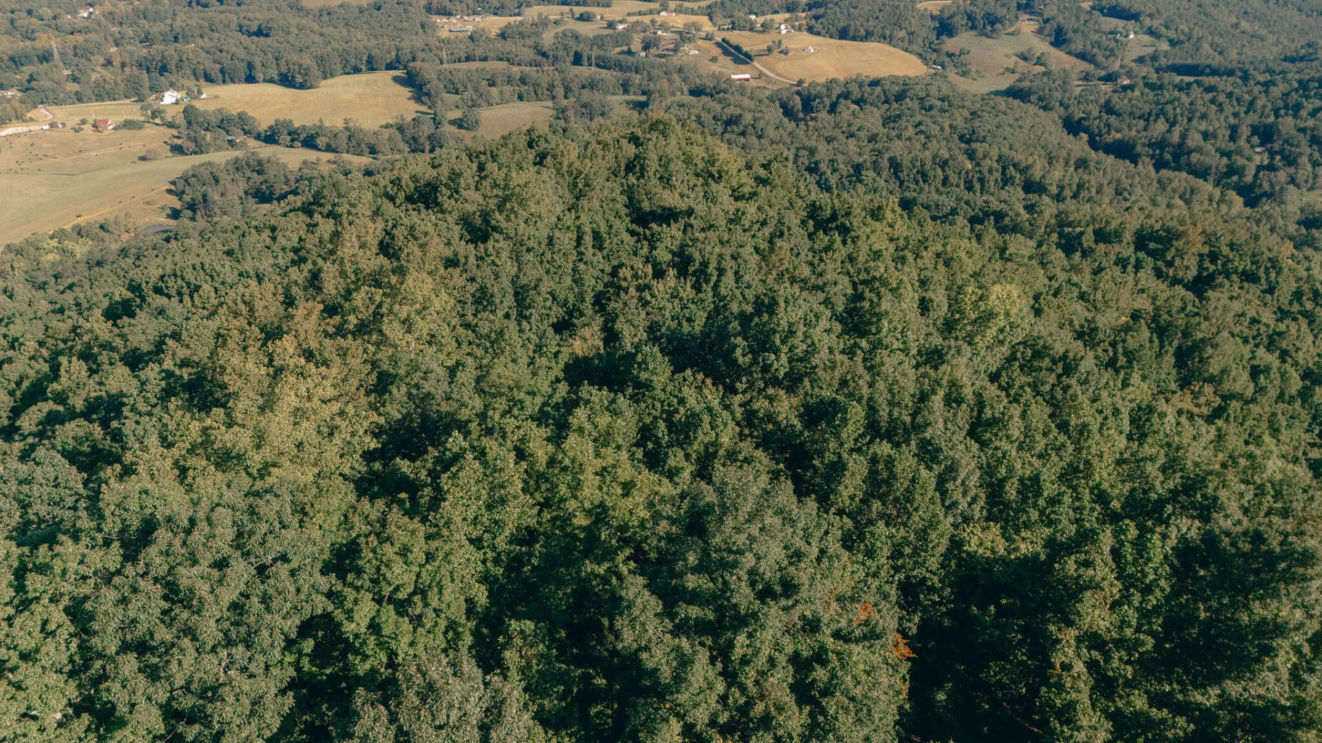 0 Nemmo RD - Photo 3