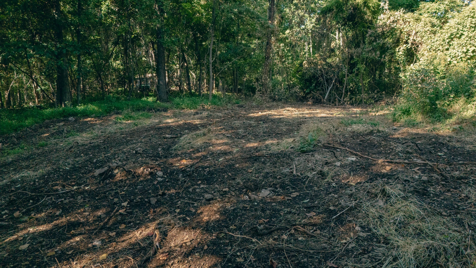 0 Nemmo RD - Photo 9