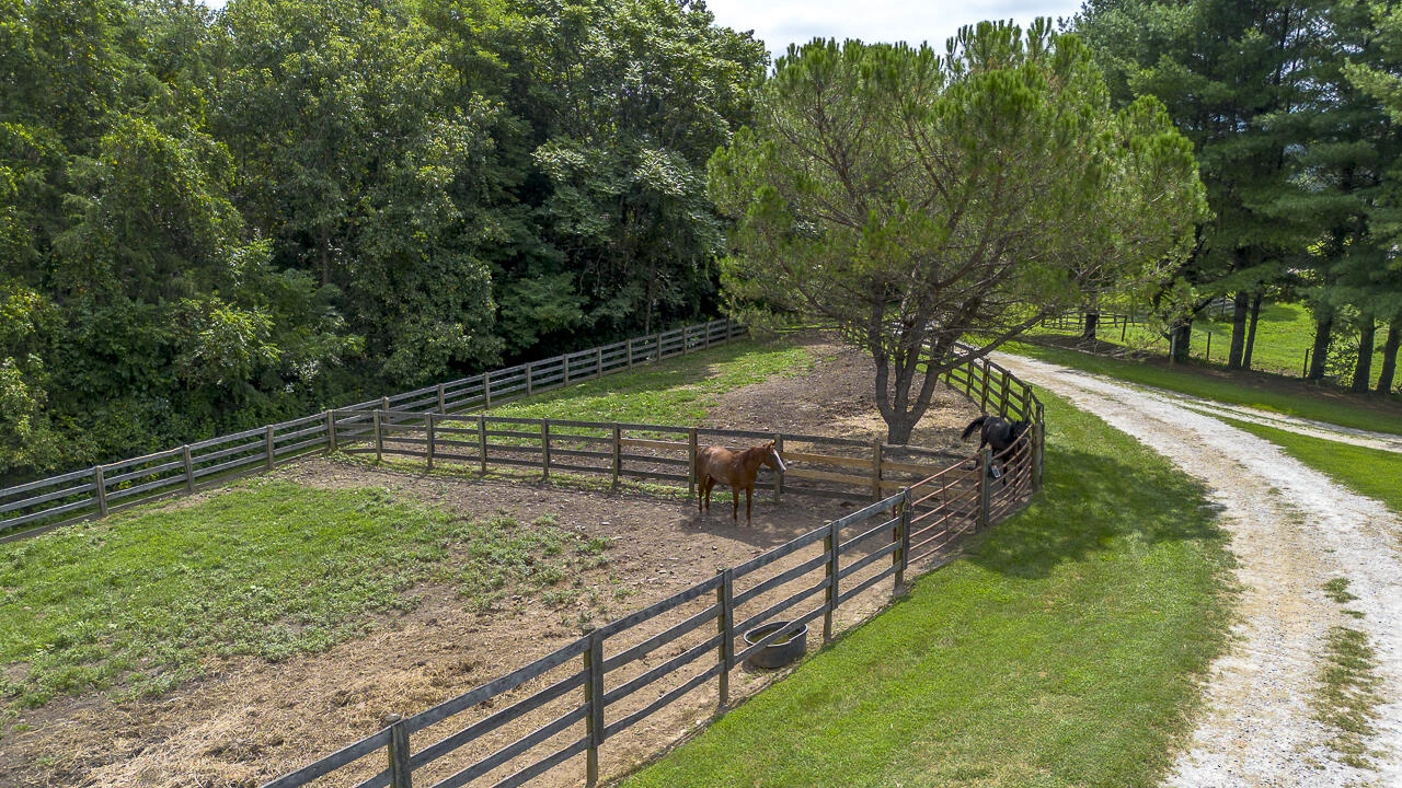 9195 Springwood RD - Photo 27