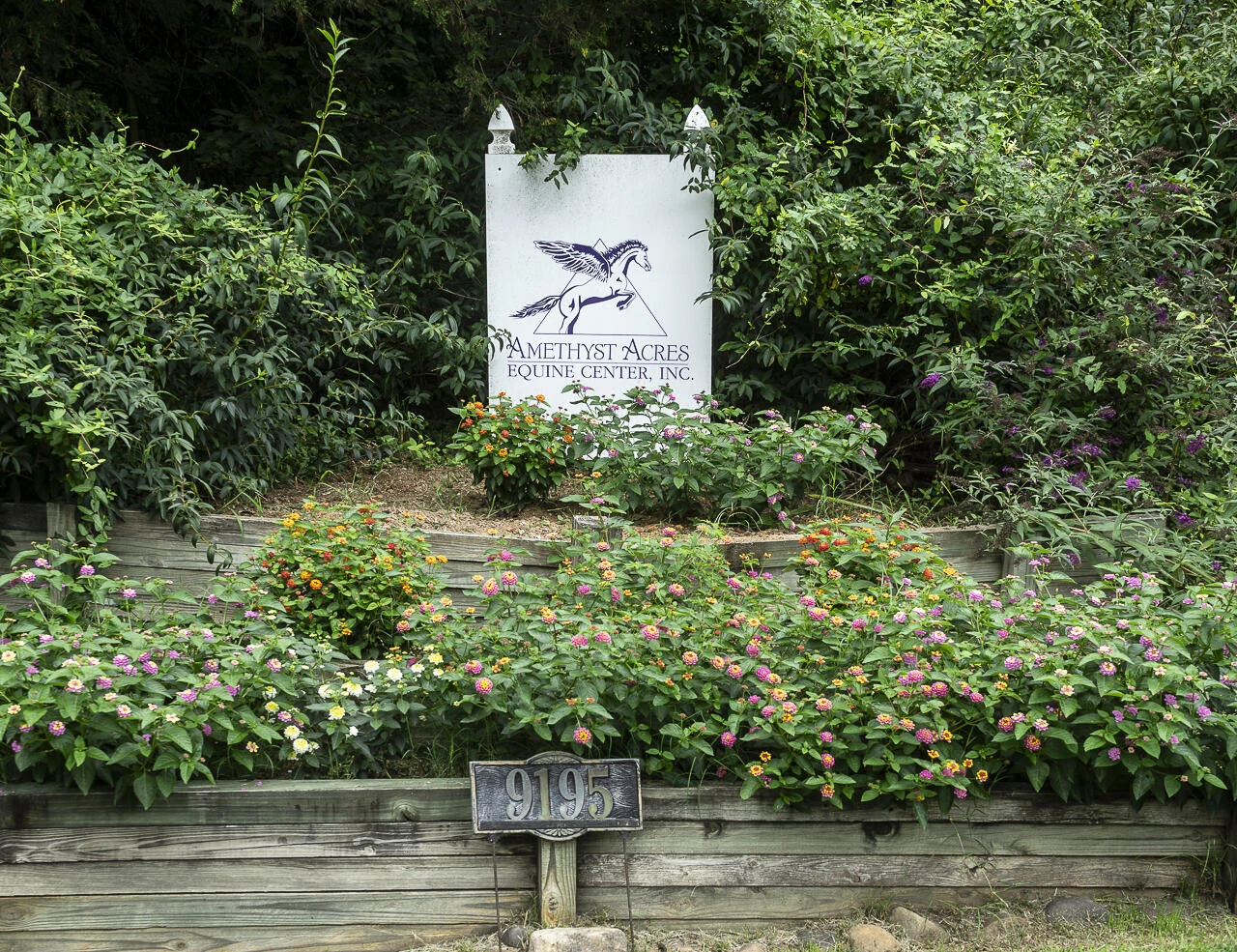 9195 Springwood RD - Photo 4