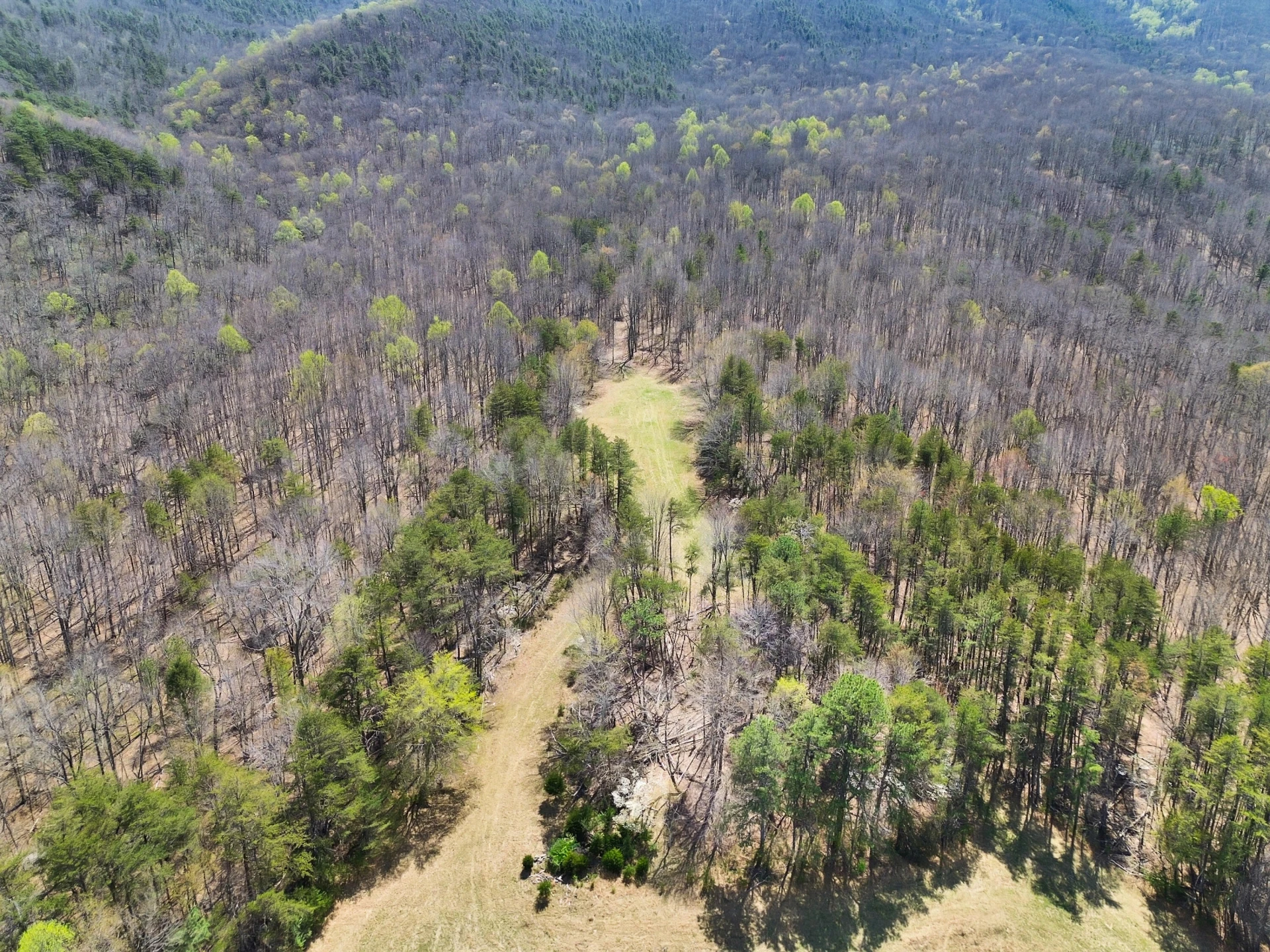 2816 Johns Creek RD - Photo 29