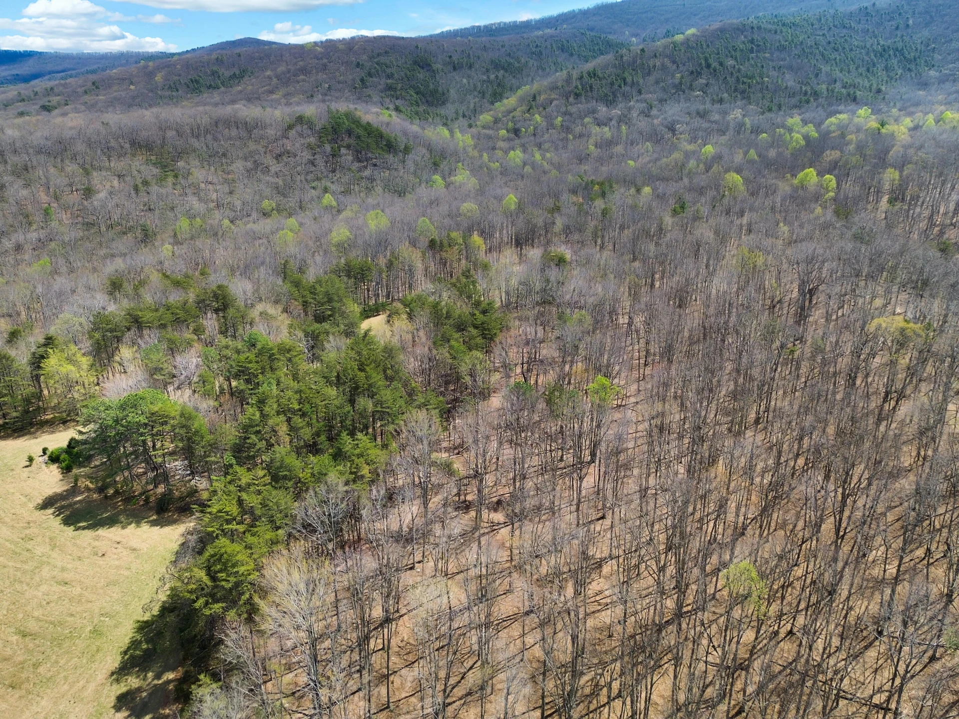 2816 Johns Creek RD - Photo 33