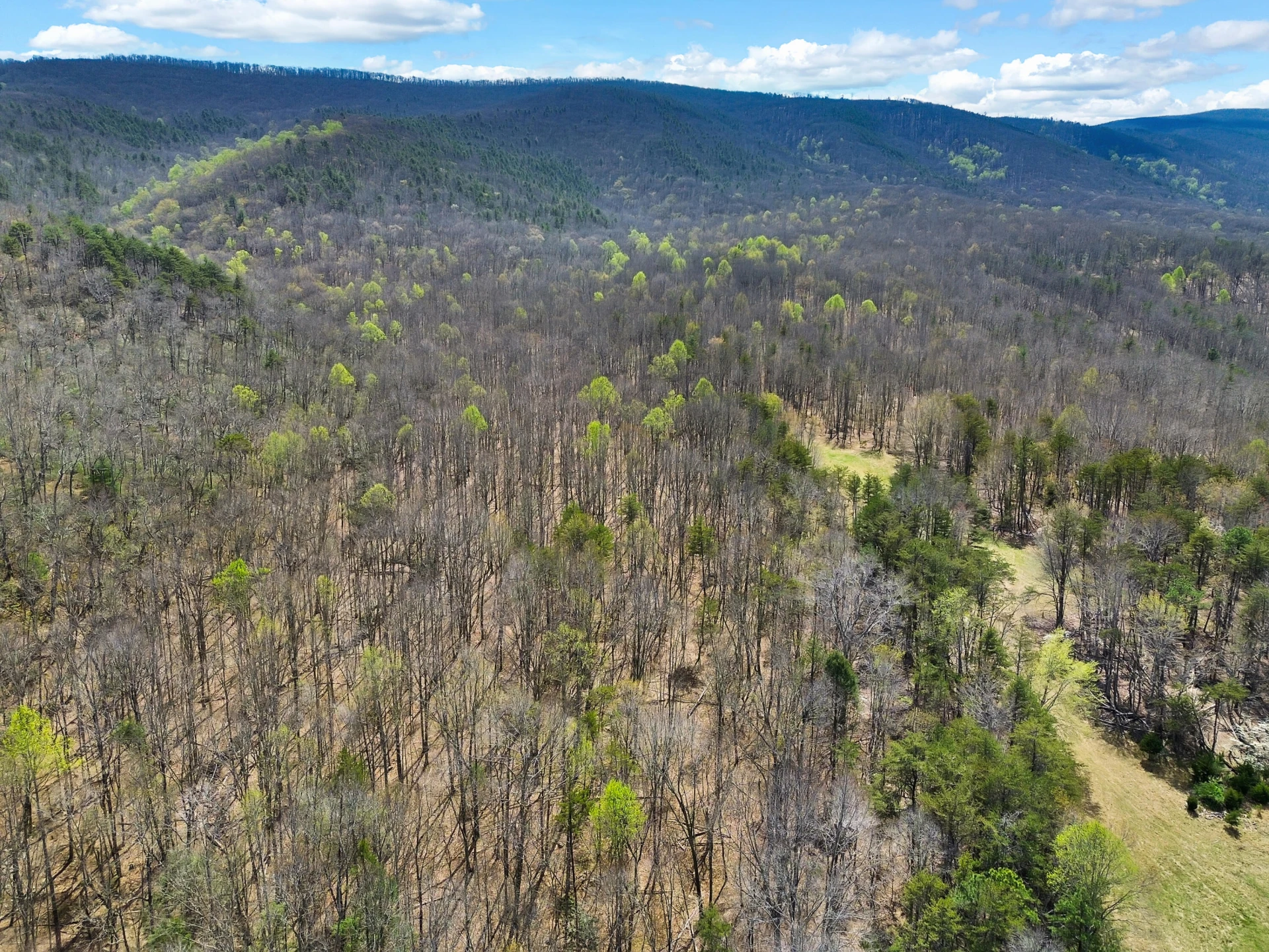 2816 Johns Creek RD - Photo 34