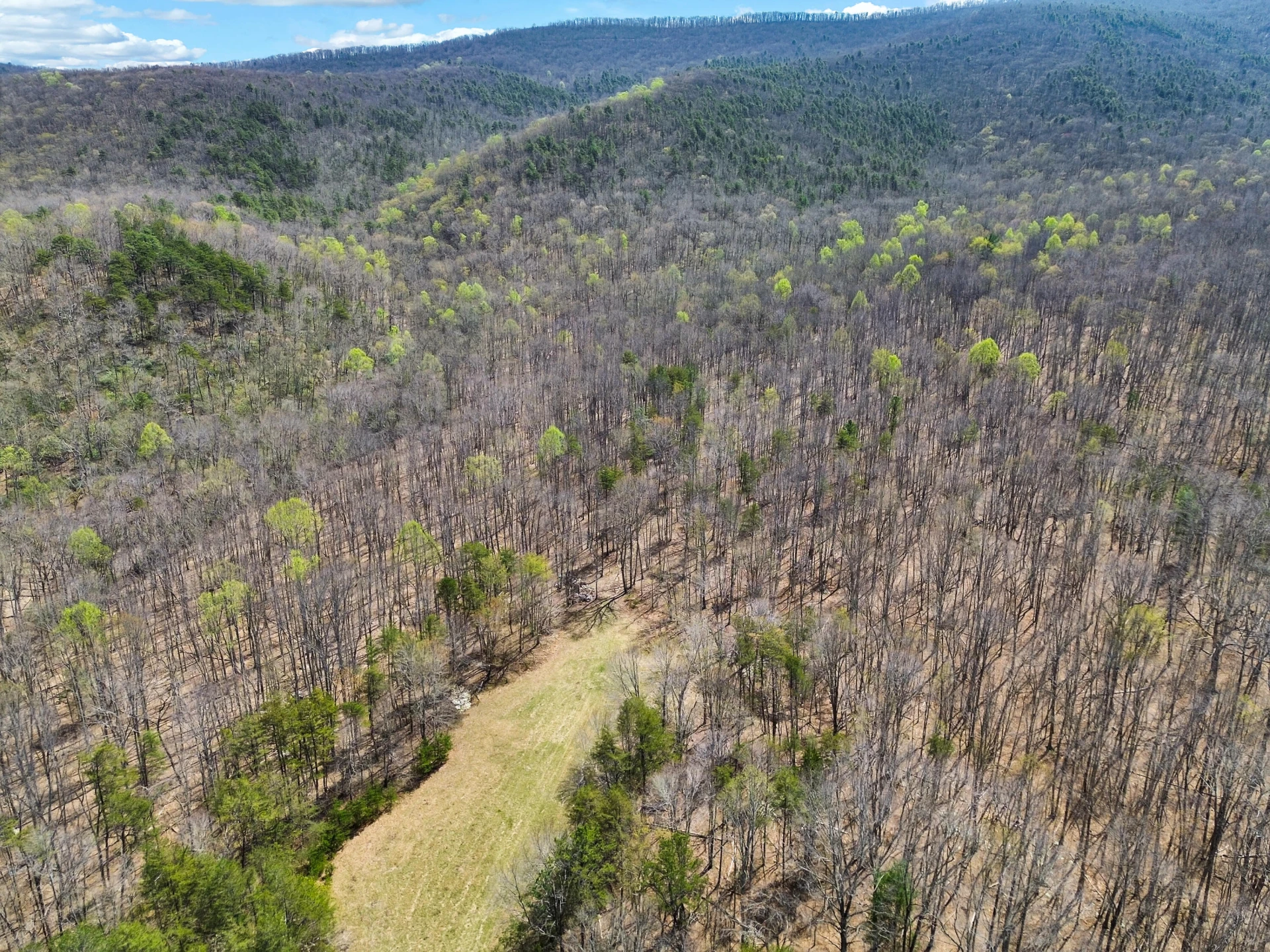2816 Johns Creek RD - Photo 35