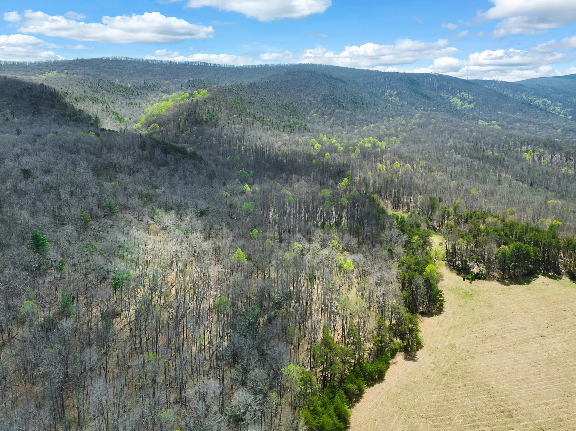 2816 Johns Creek RD - Photo 39
