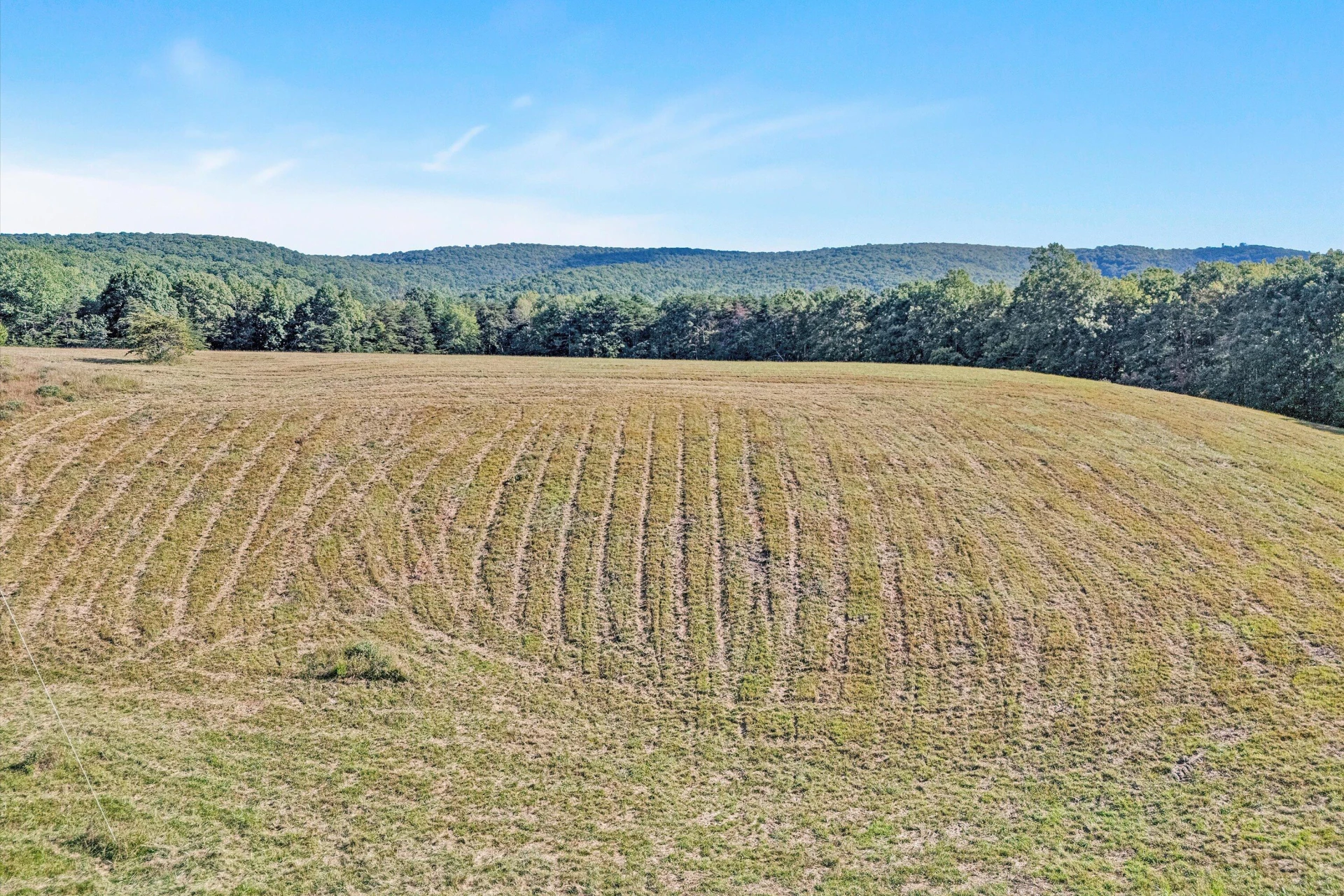 2816 Johns Creek RD - Photo 4