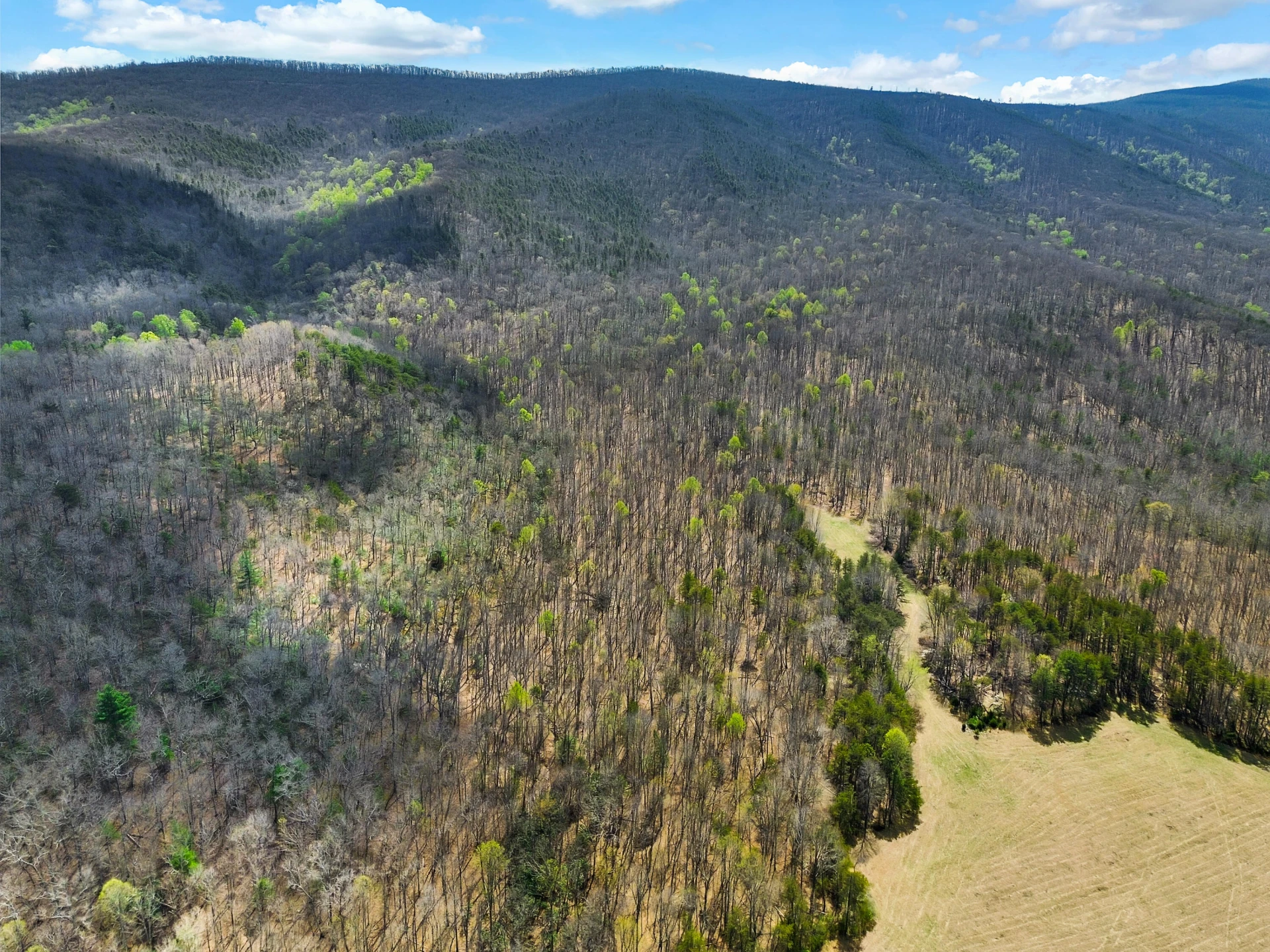 2816 Johns Creek RD - Photo 40