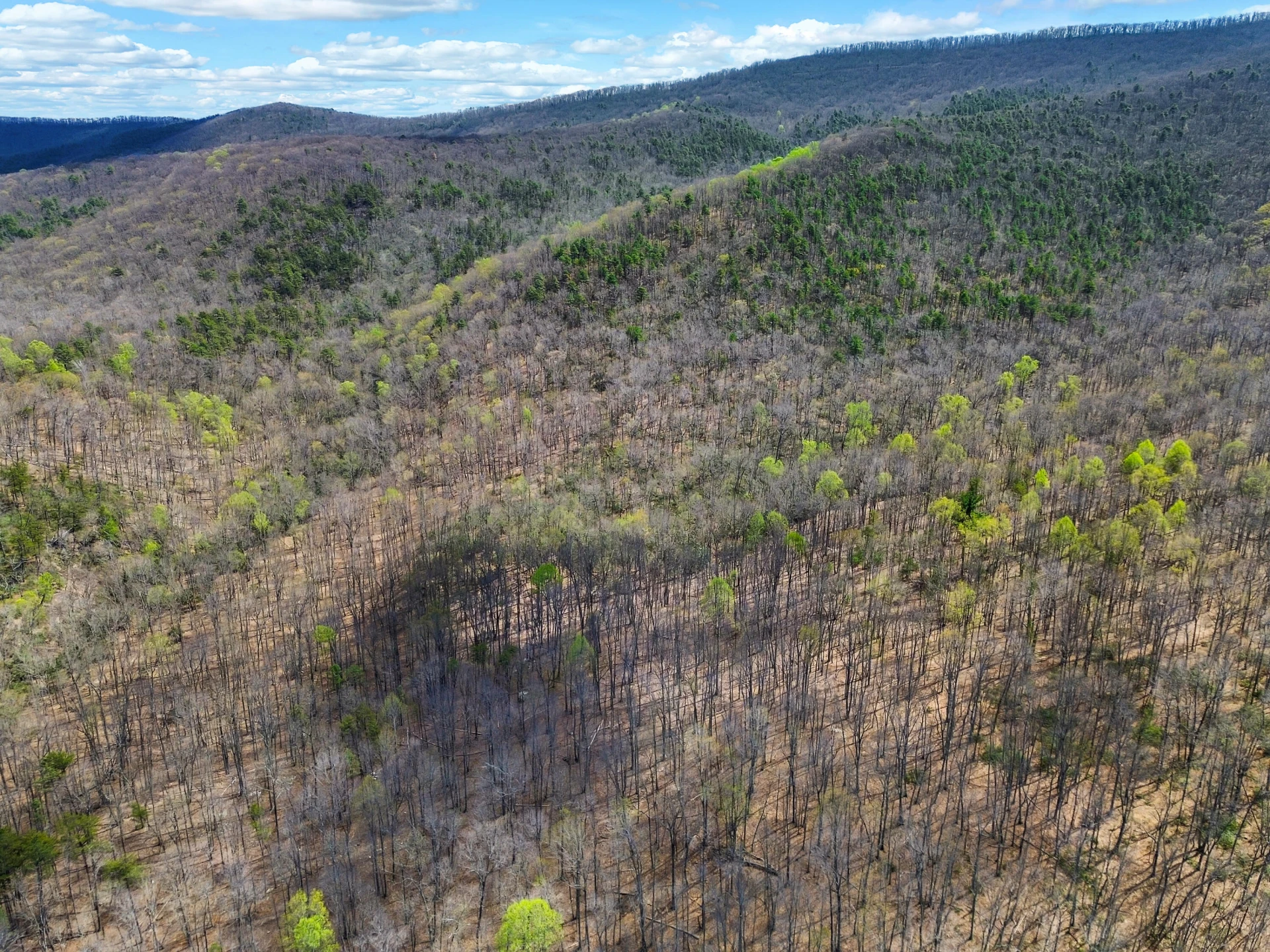 2816 Johns Creek RD - Photo 43