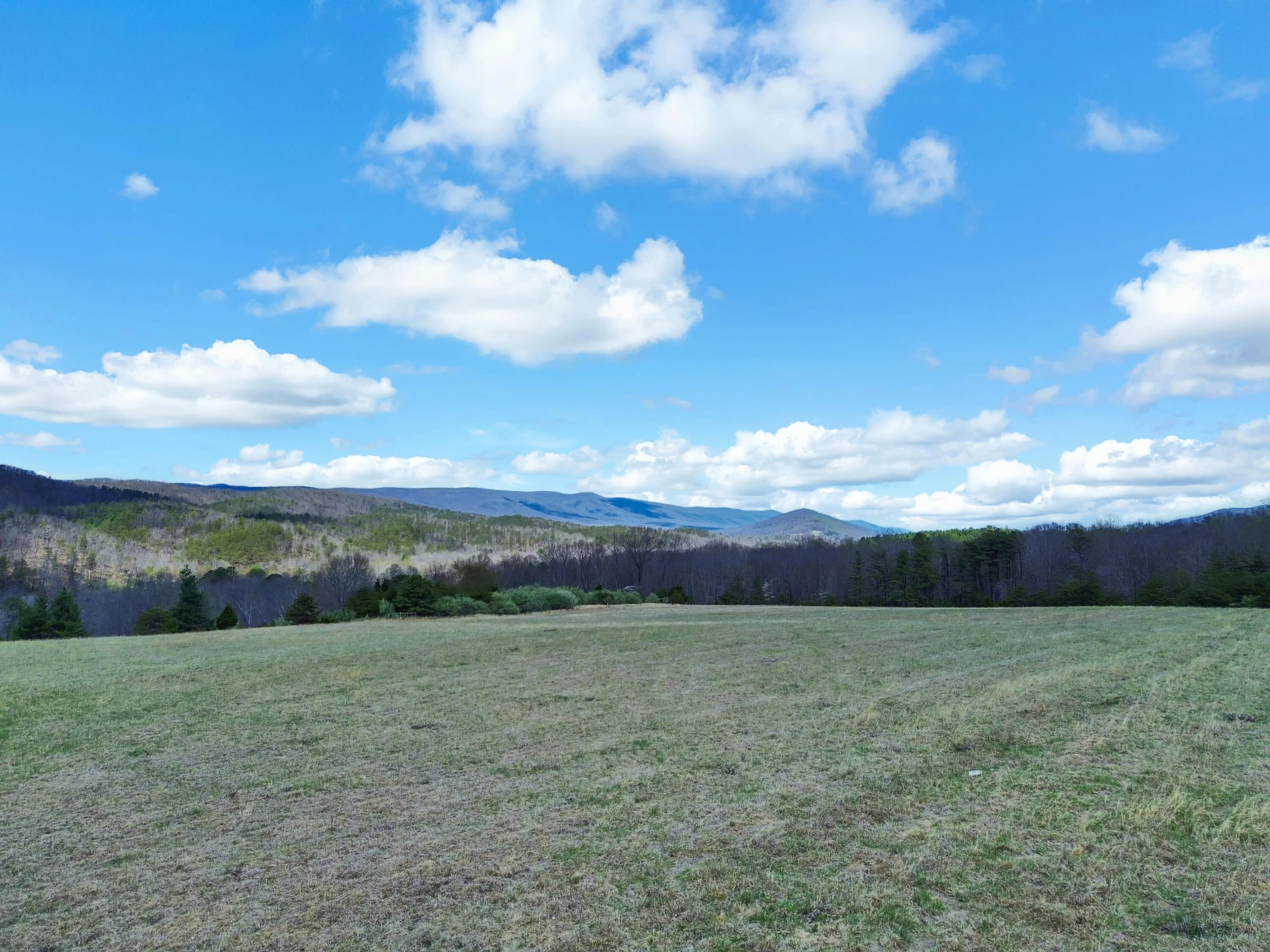 2816 Johns Creek RD - Photo 47