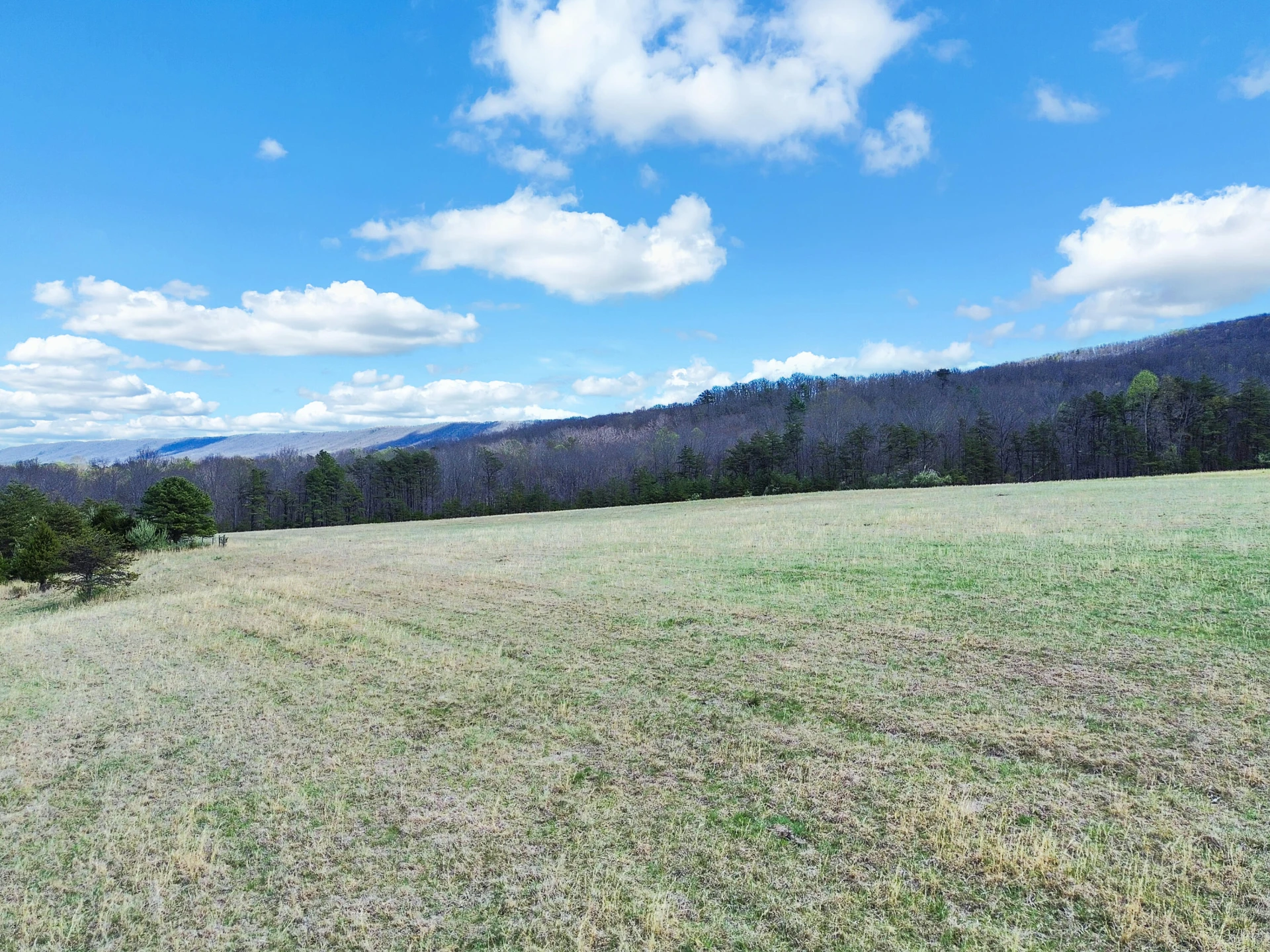 2816 Johns Creek RD - Photo 49