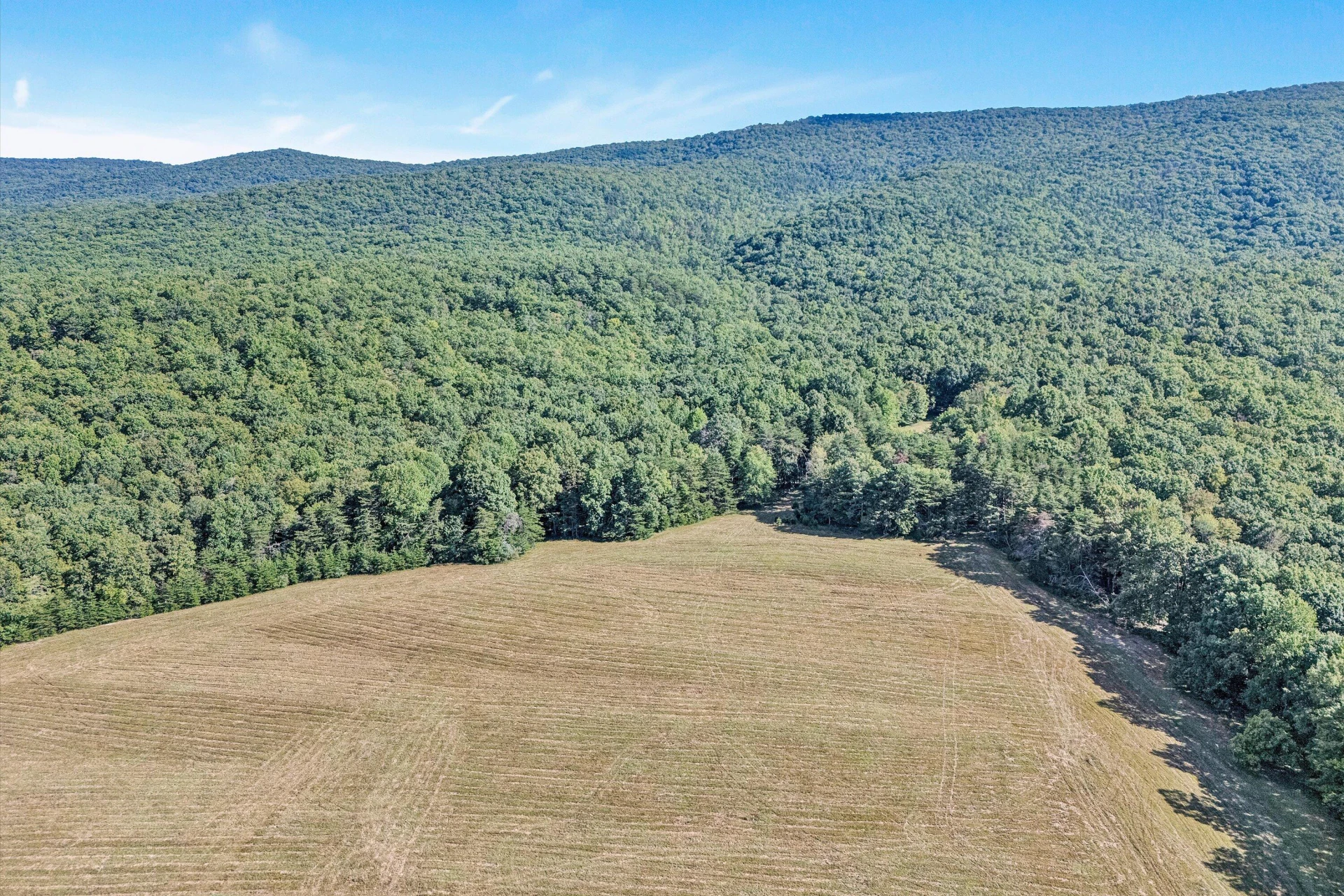 2816 Johns Creek RD - Photo 5
