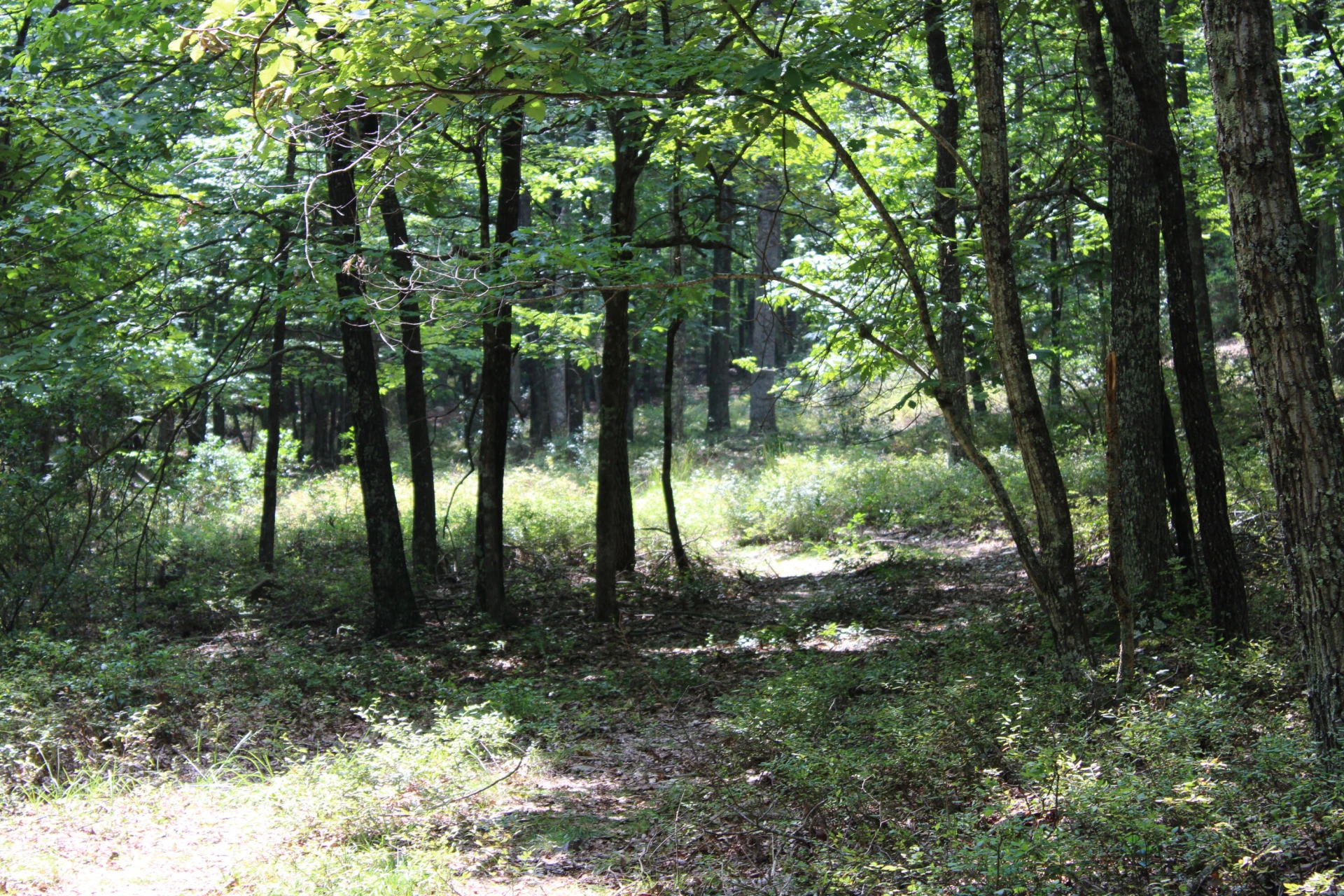 2816 Johns Creek RD - Photo 93