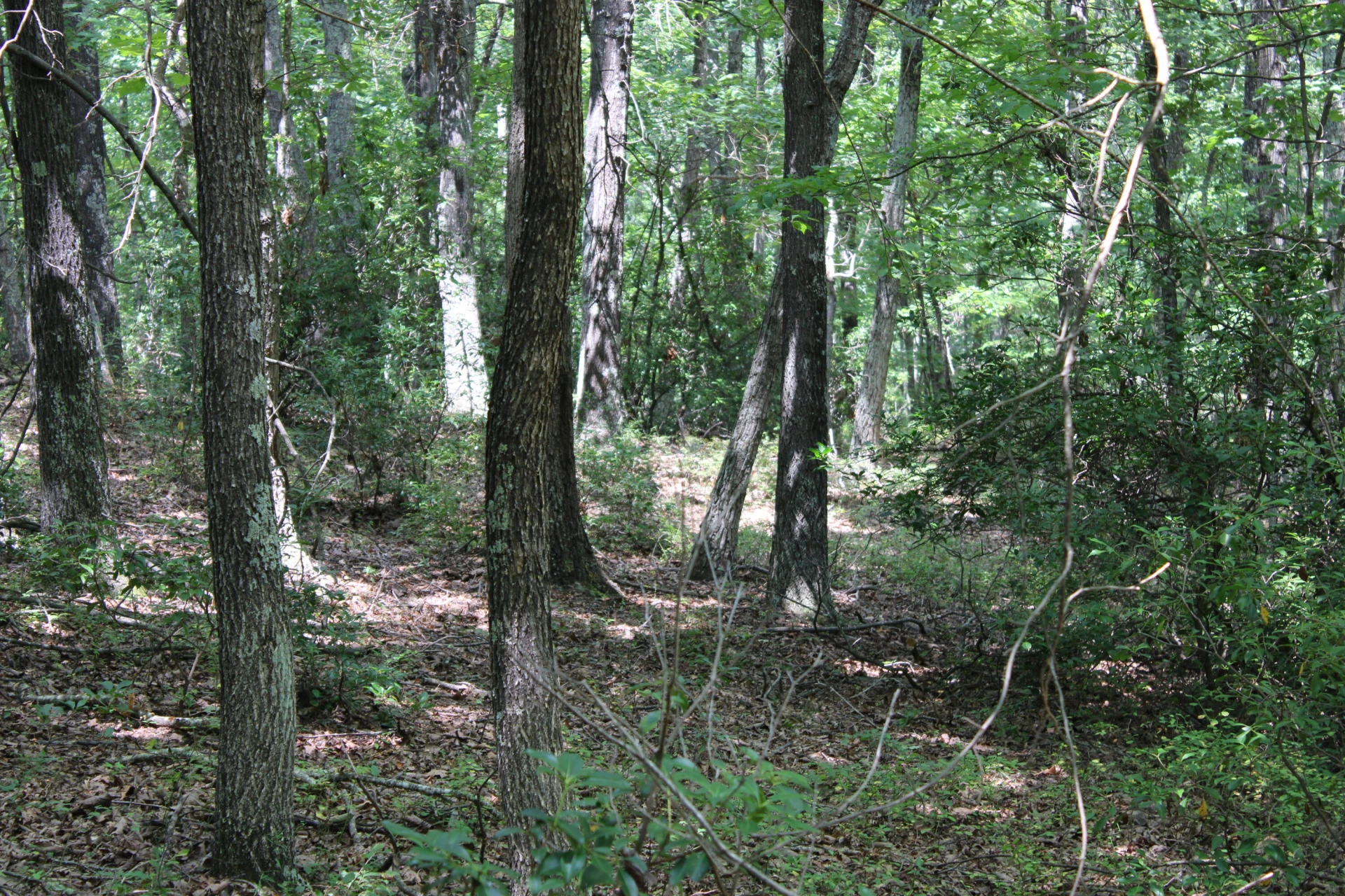 2816 Johns Creek RD - Photo 95